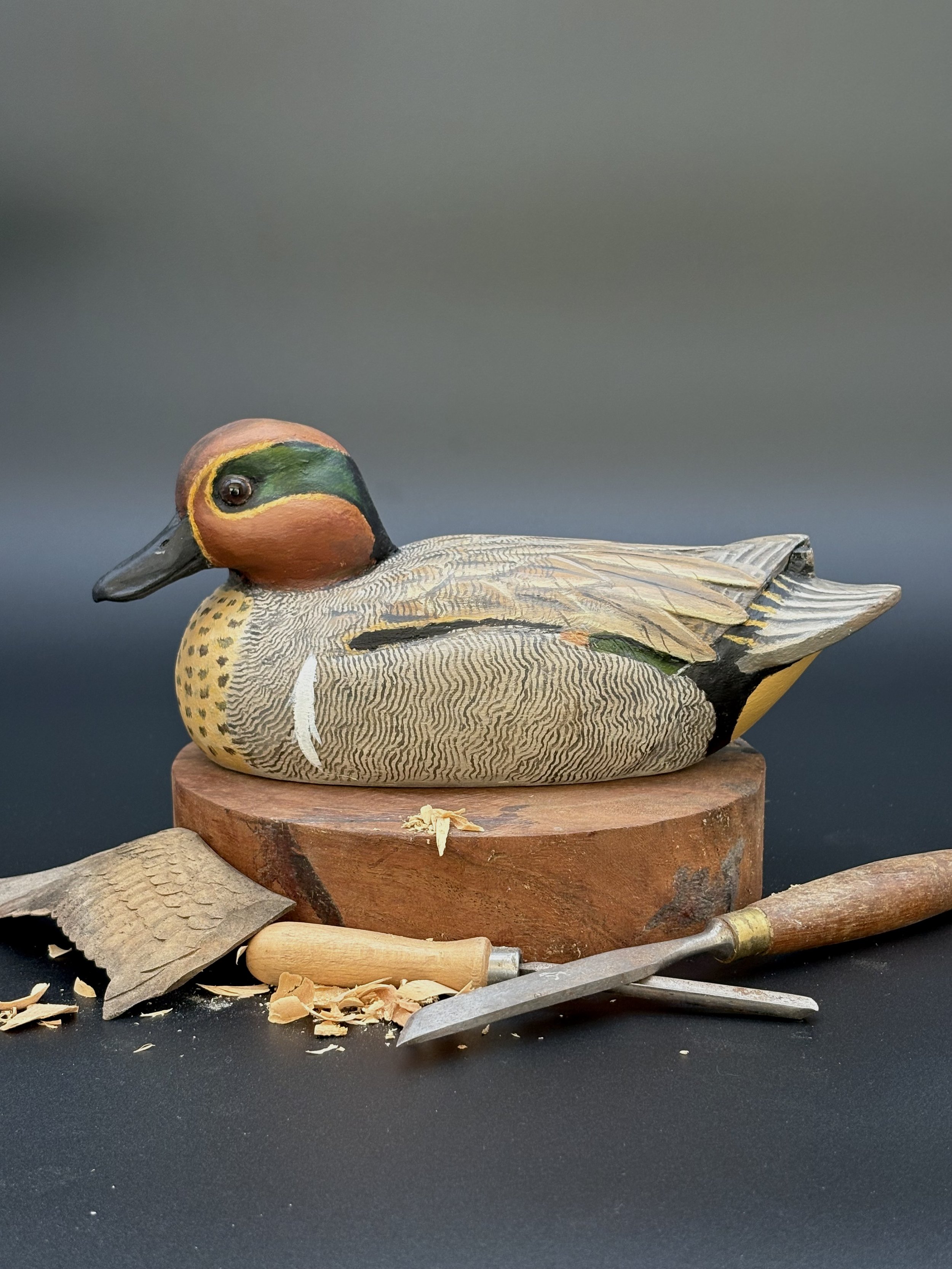 Don Hovie_GreenWingedTeal_007_2.jpeg