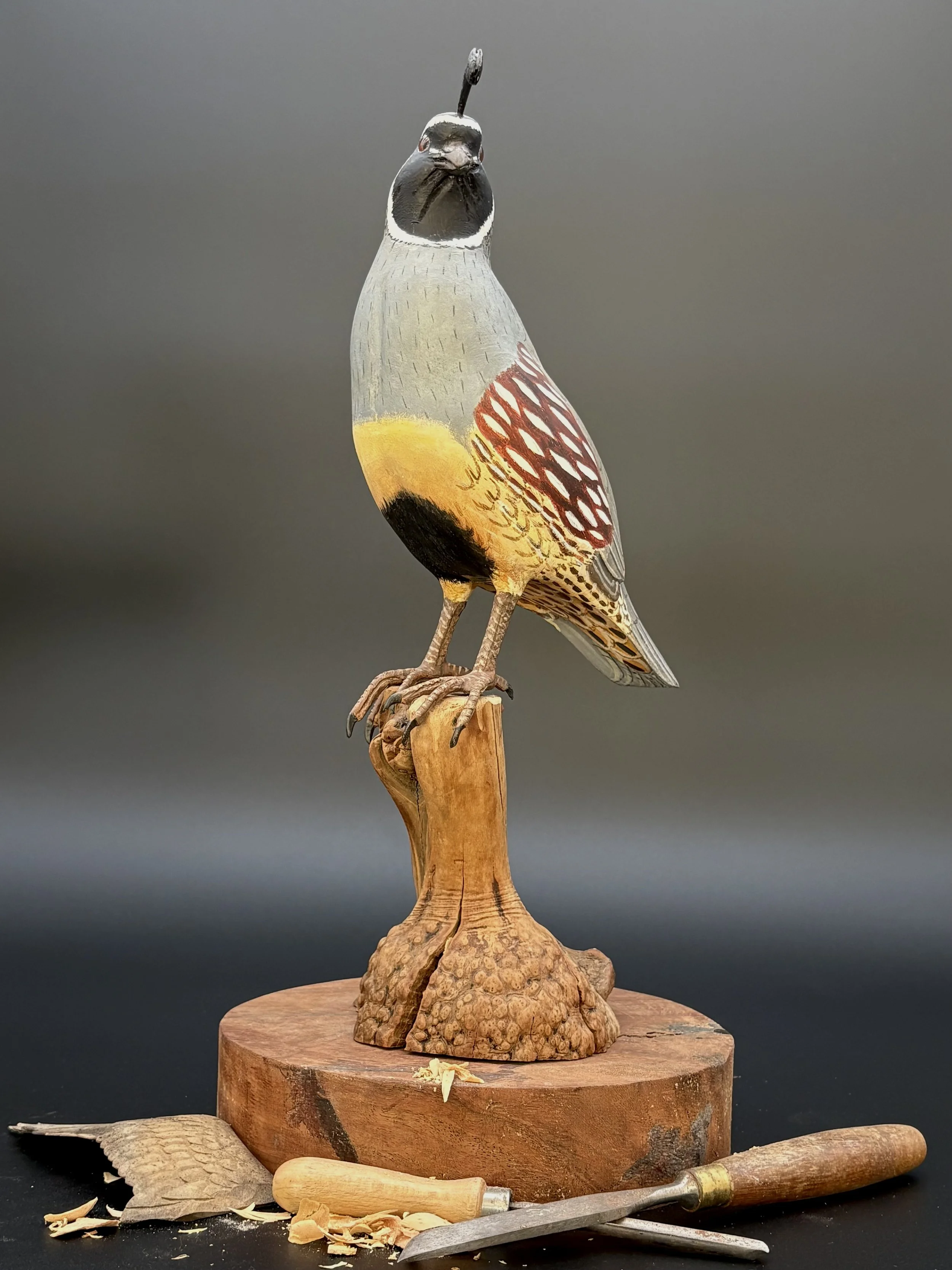 Don Hovie_GambleQuail_014_2.jpeg