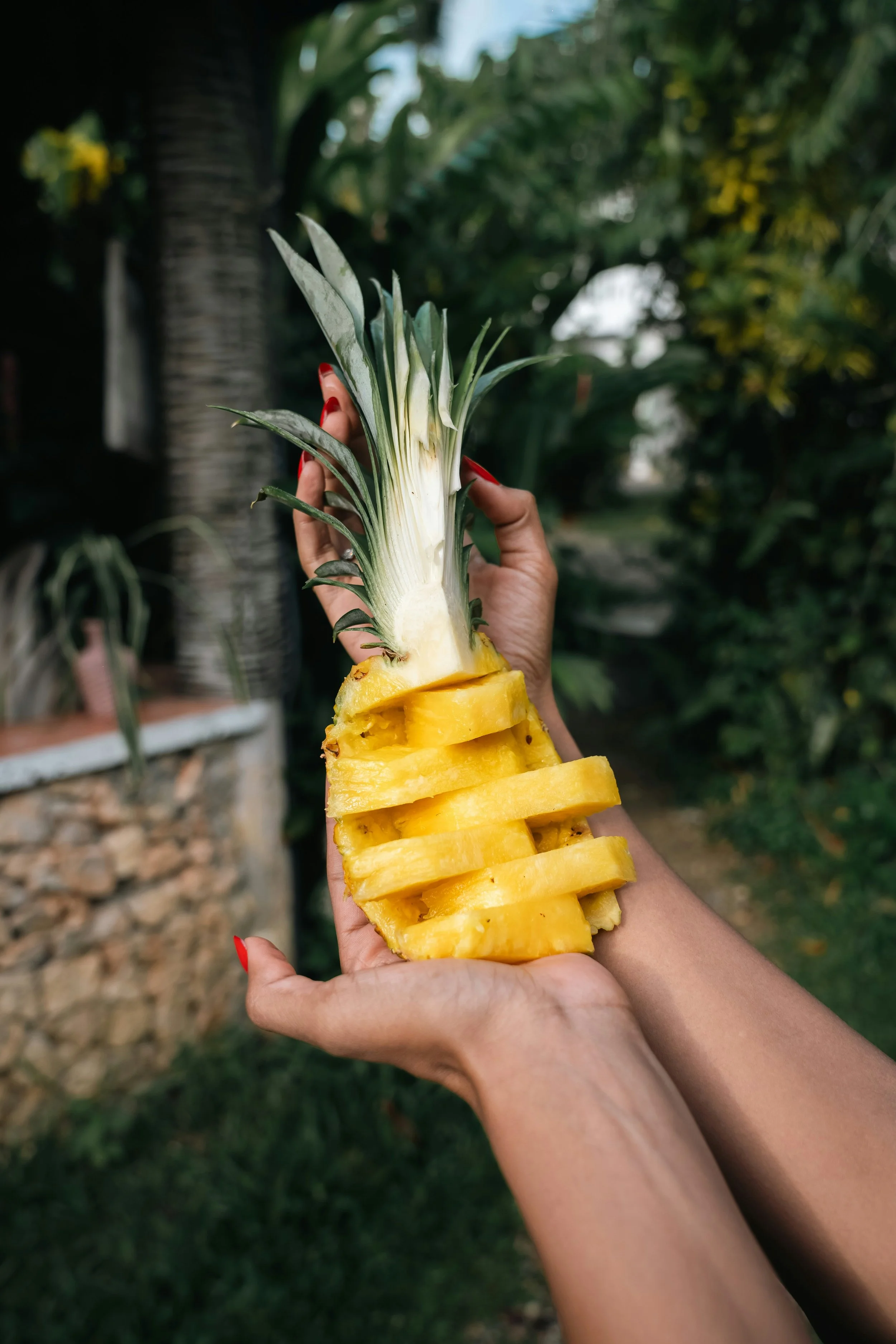 Hands in the local life