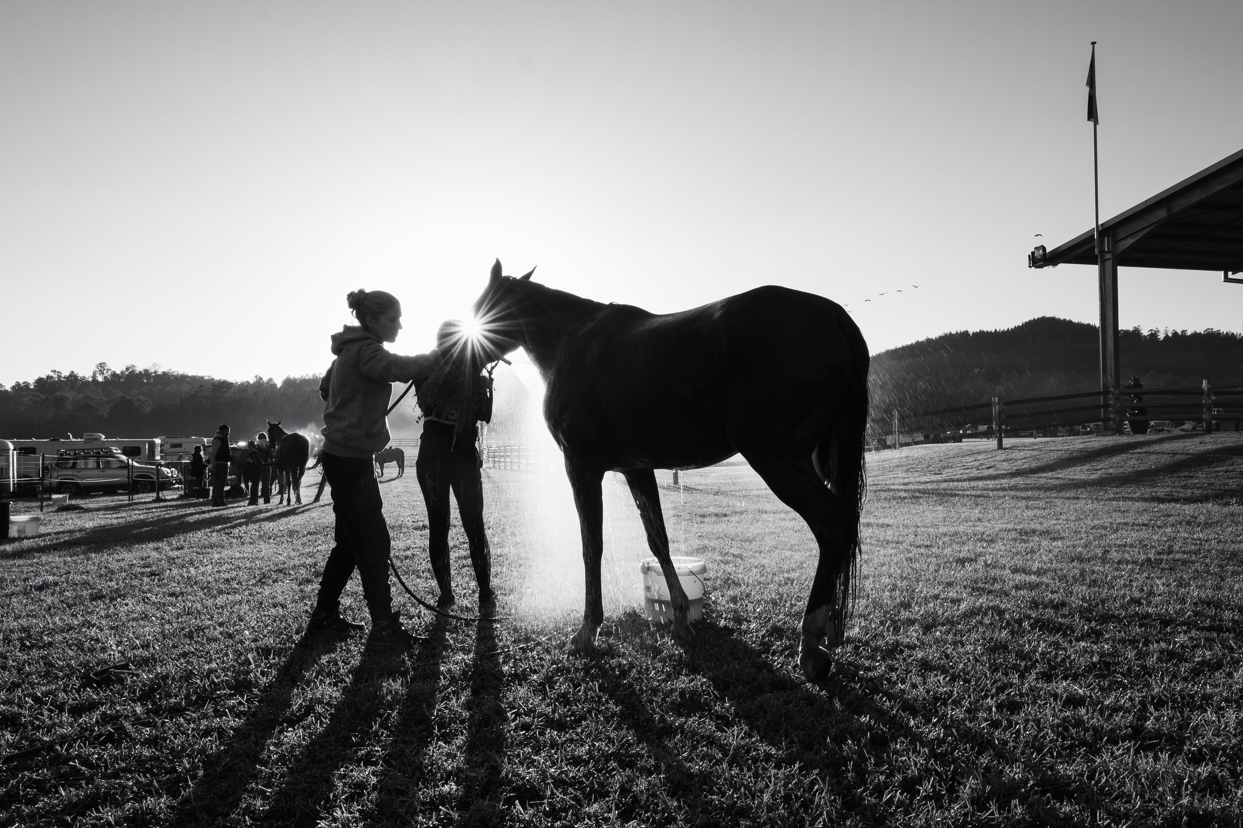 Endurance-14.jpg