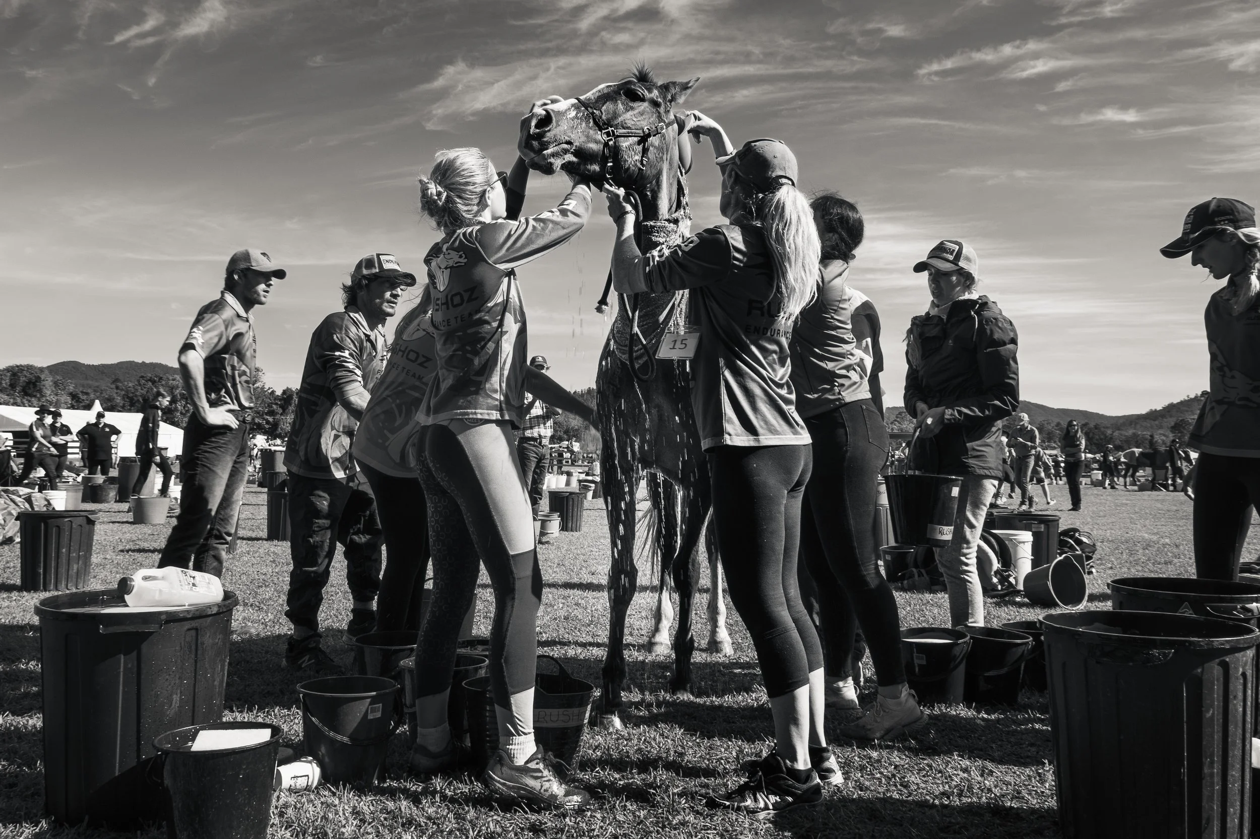 Endurance-9.jpg