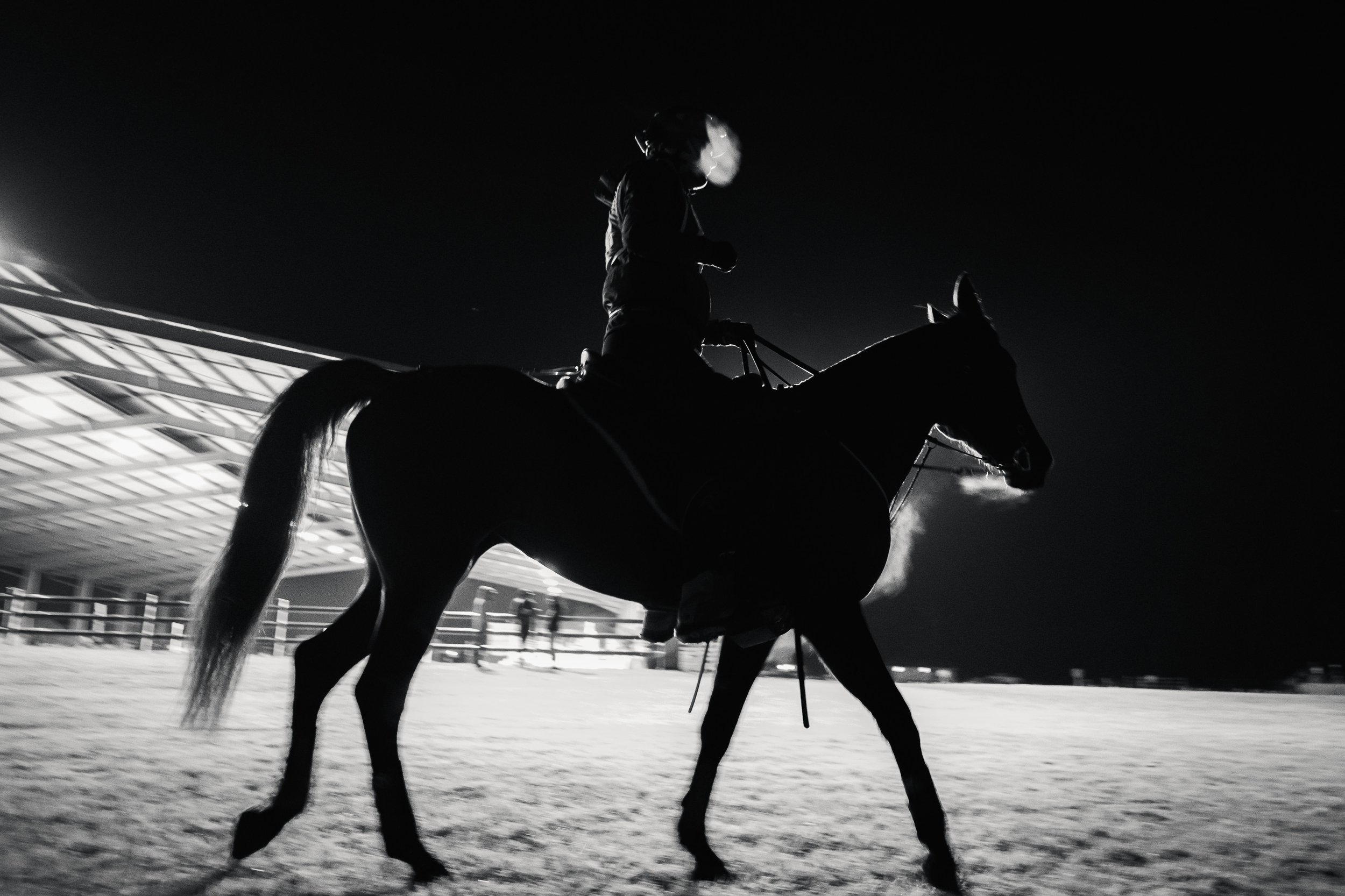 Endurance-13.jpg