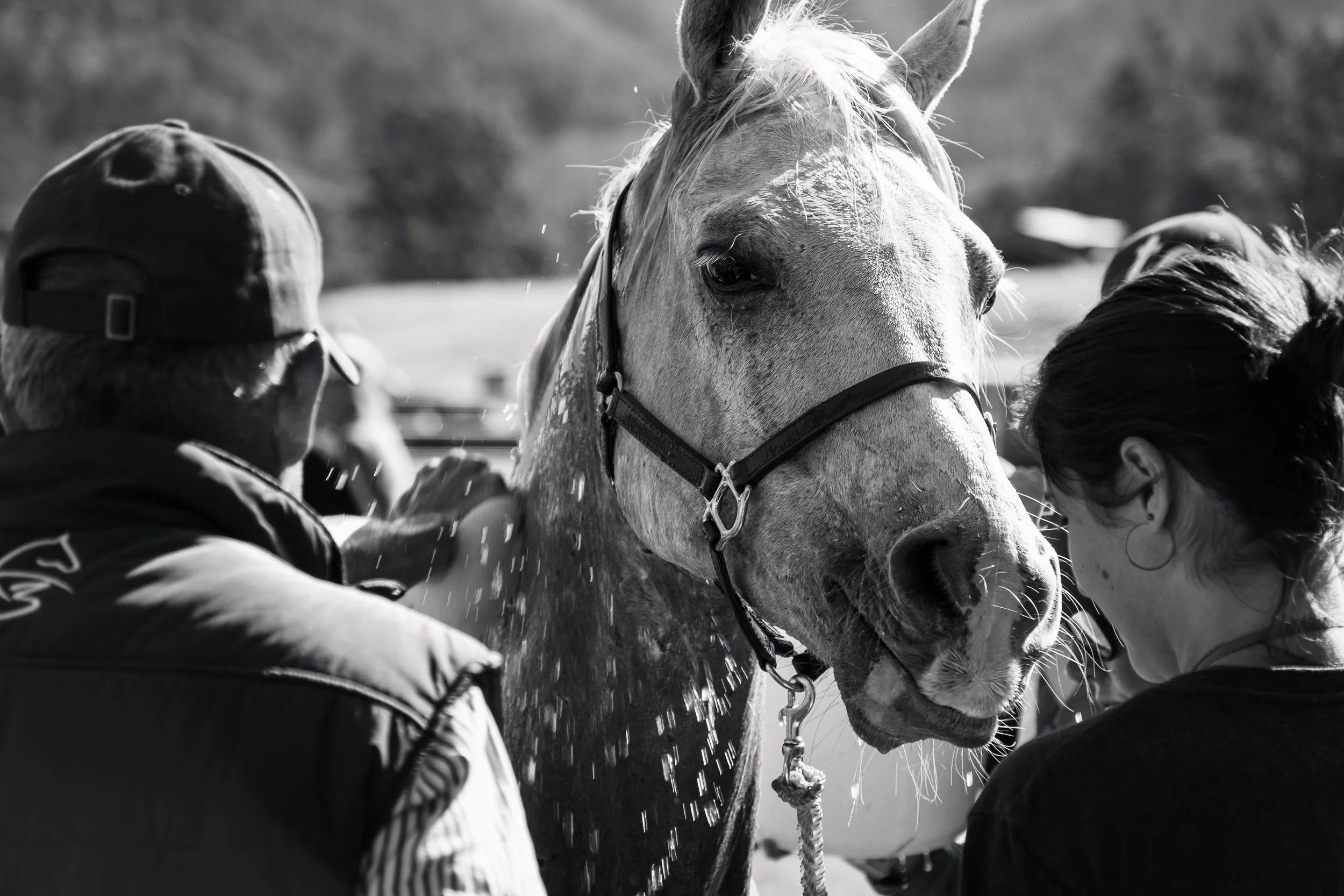 Endurance-10.jpg
