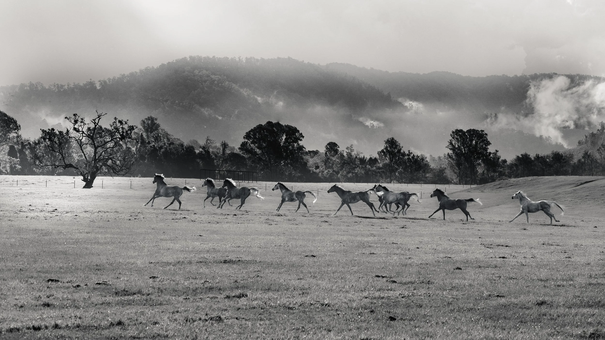Endurance-7.jpg