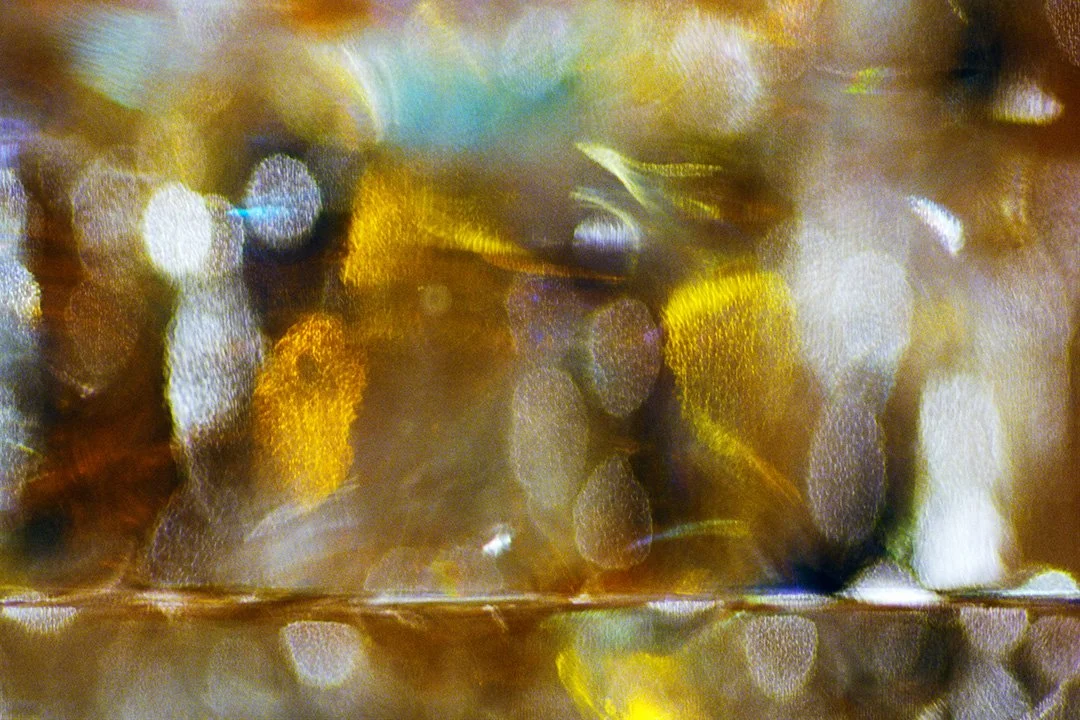 Cabinet Glass Sessions #13
Pigmented inkjet print, 15 1/2 x 22, 28 x 40 inches