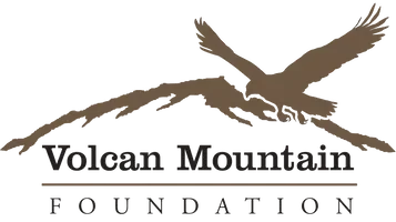 Volcano Mountain Conference logo with mountain and volcano illustration
