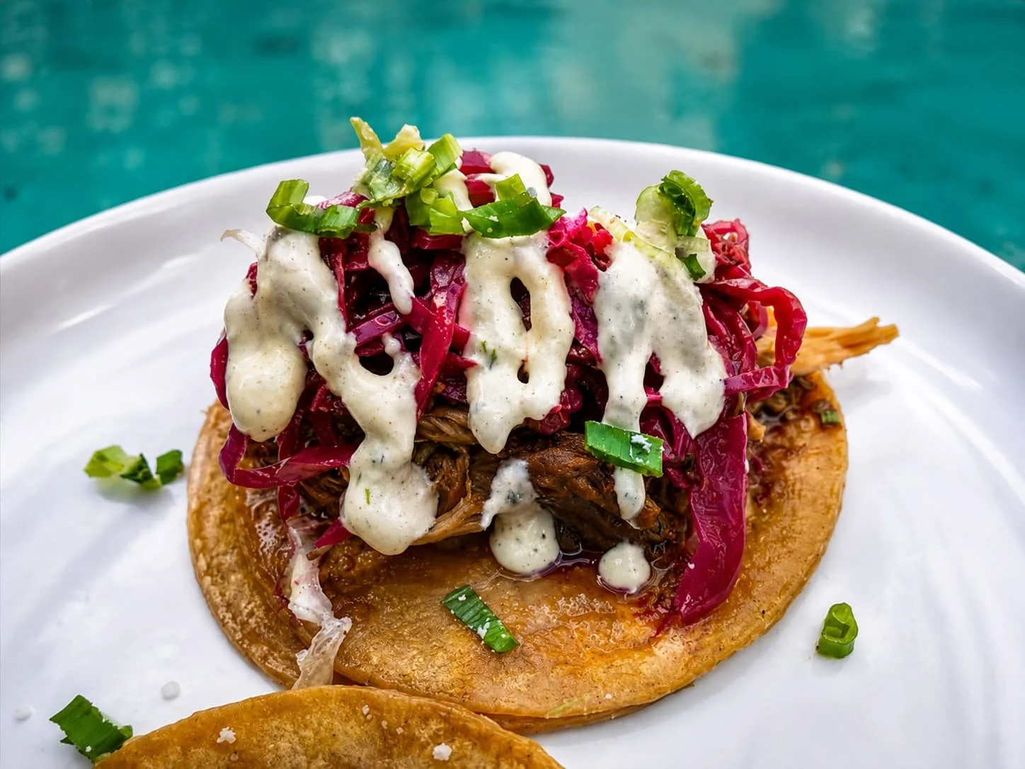 Asian beef taco with crema sauce and green onion garnish at Tapas & Tacos Beer Garden in Lake Leelanau, Michigan