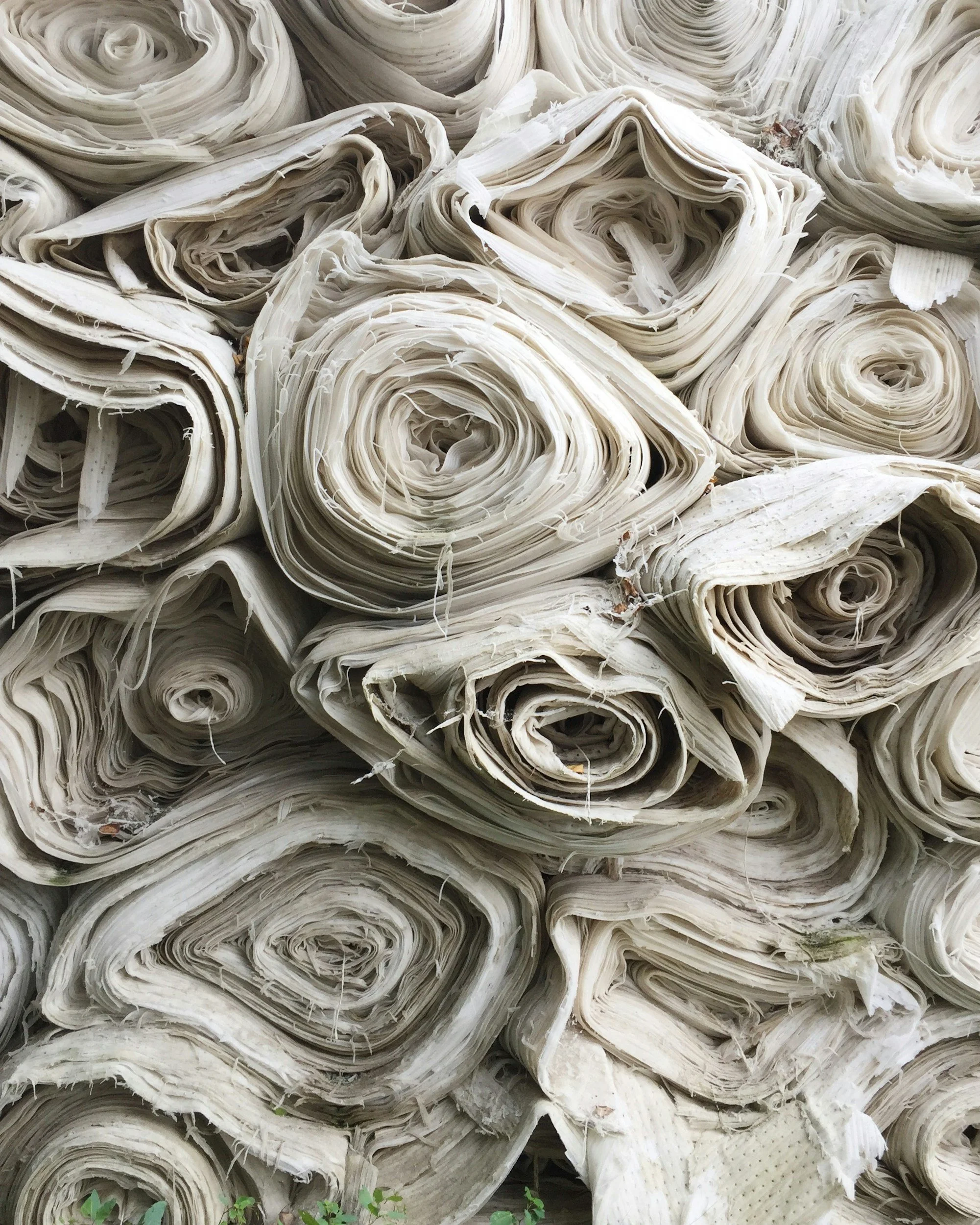 Rolled pieces of tree bark stacked together in natural tones, with some small green plants at the bottom.