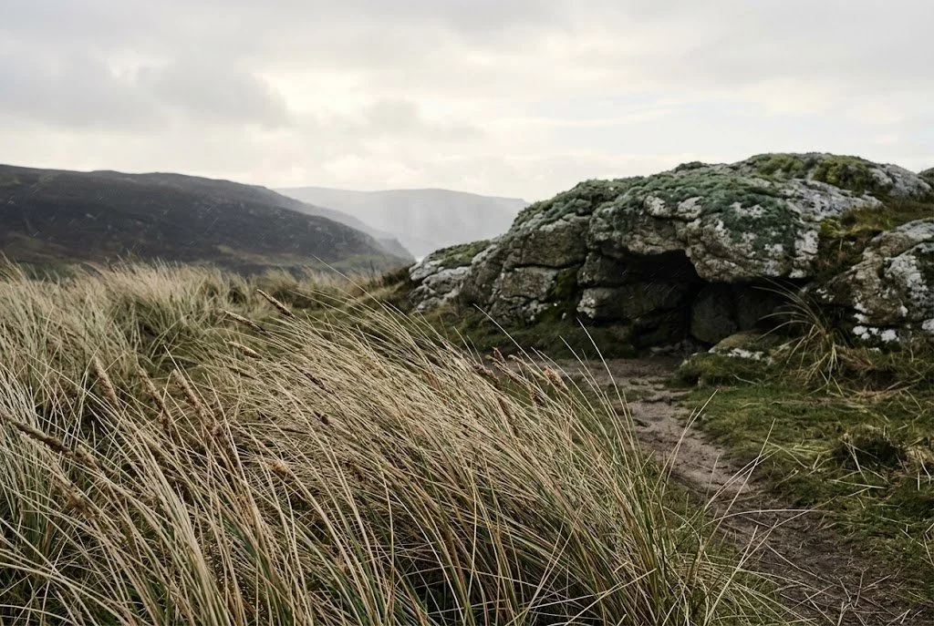 Tall wild grasses sway in the wind along a dirt path leading toward a lichen-covered rock shelter under a soft, overcast sky, with distant dark hills in the background.