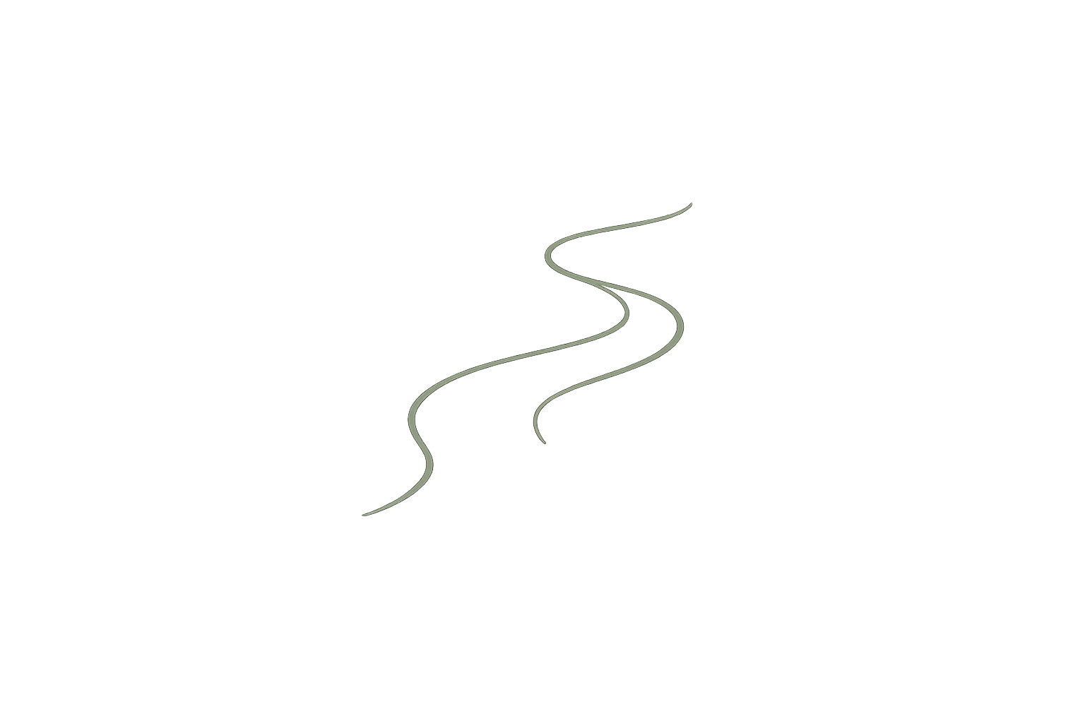 Minimal organic monoline icon of a gently curving path in forest sage green with smooth flowing lines.