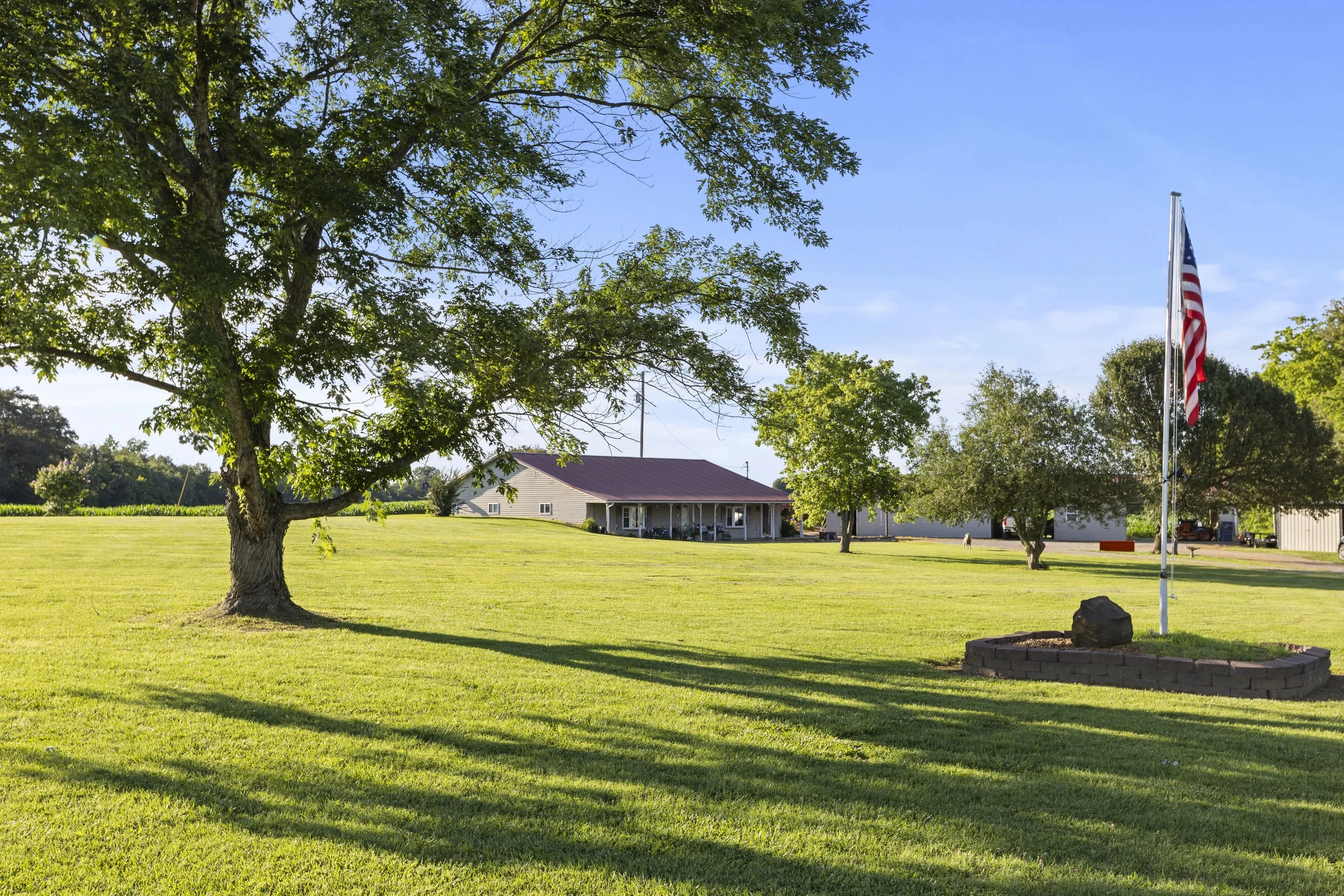 A rural scene featuring a large tree with green leaves, a green lawn, a house with a red roof, a flagpole with an American flag, and a clear blue sky.