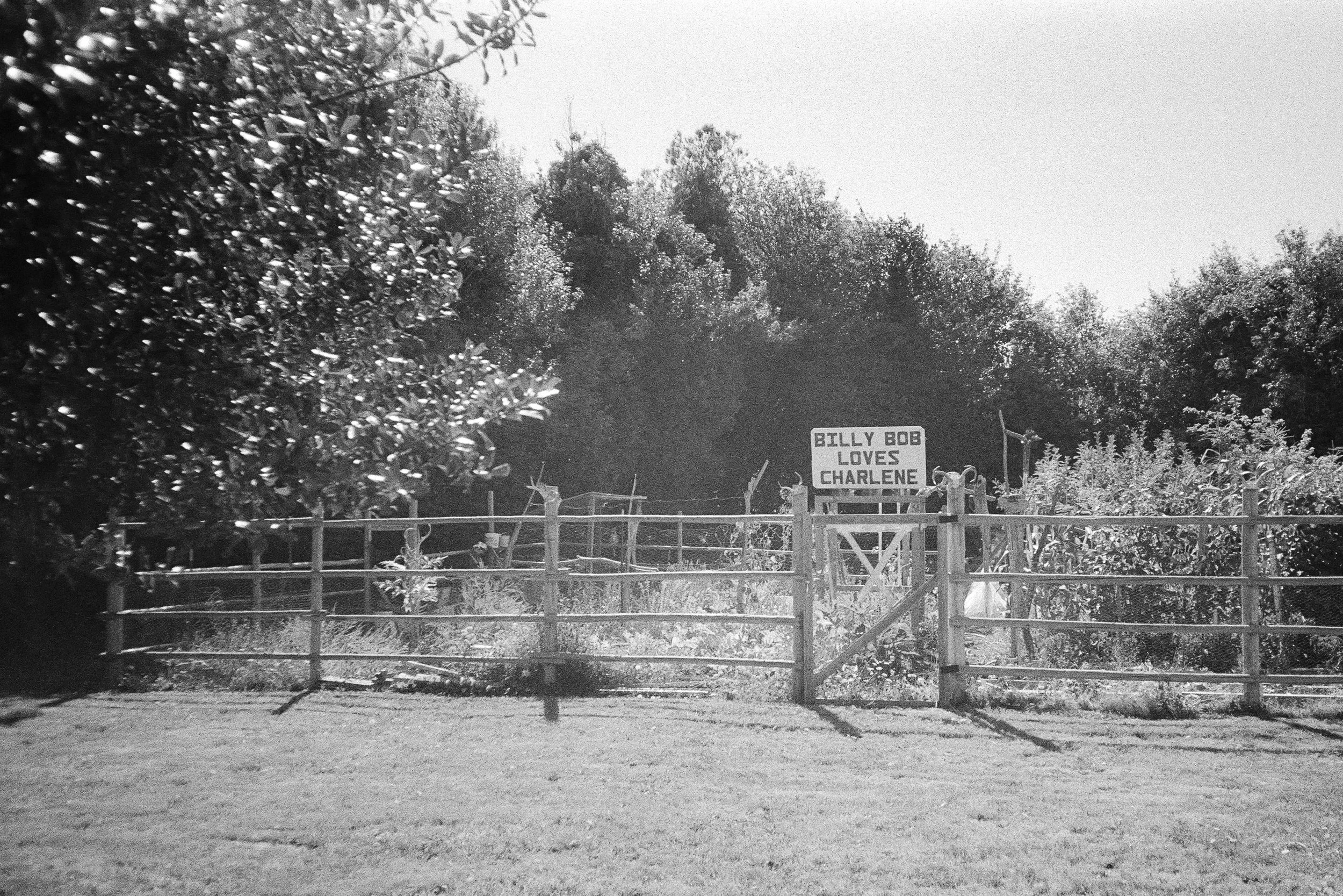 elsewhere 4x6-54.jpg