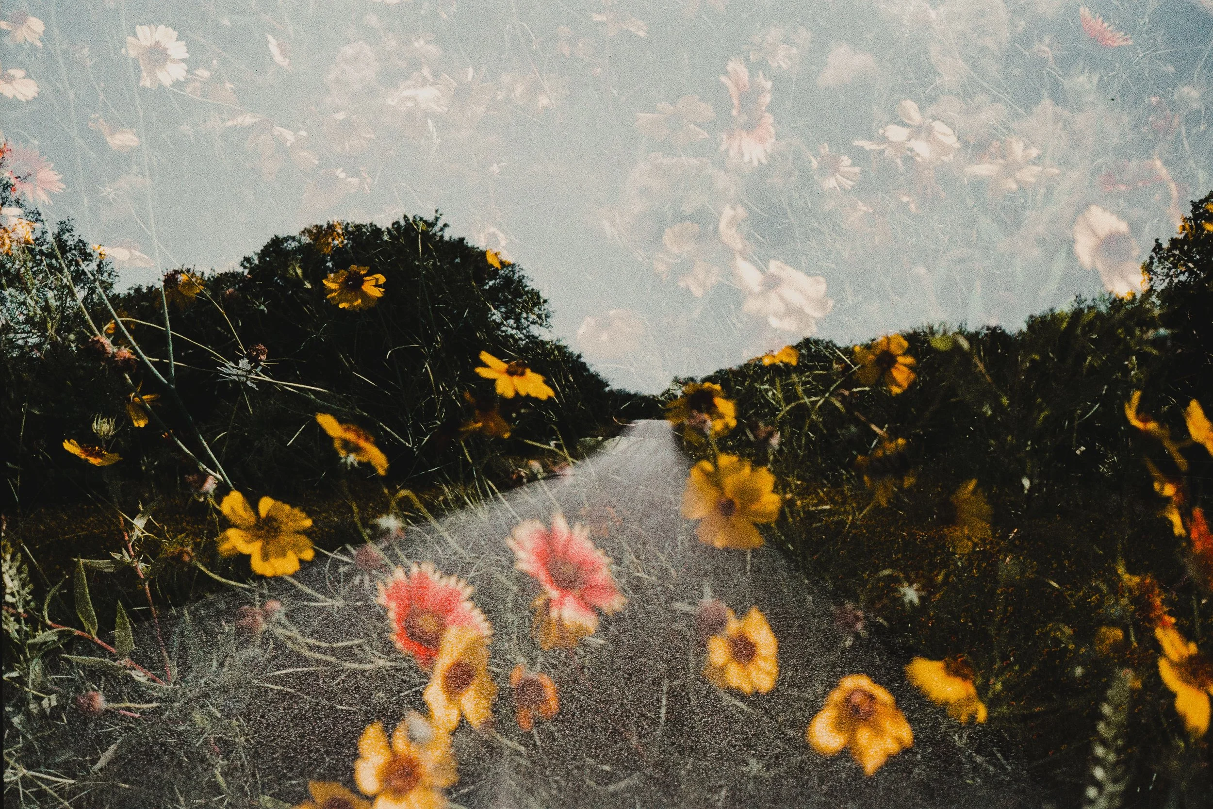 elsewhere 13x19's-12.jpg