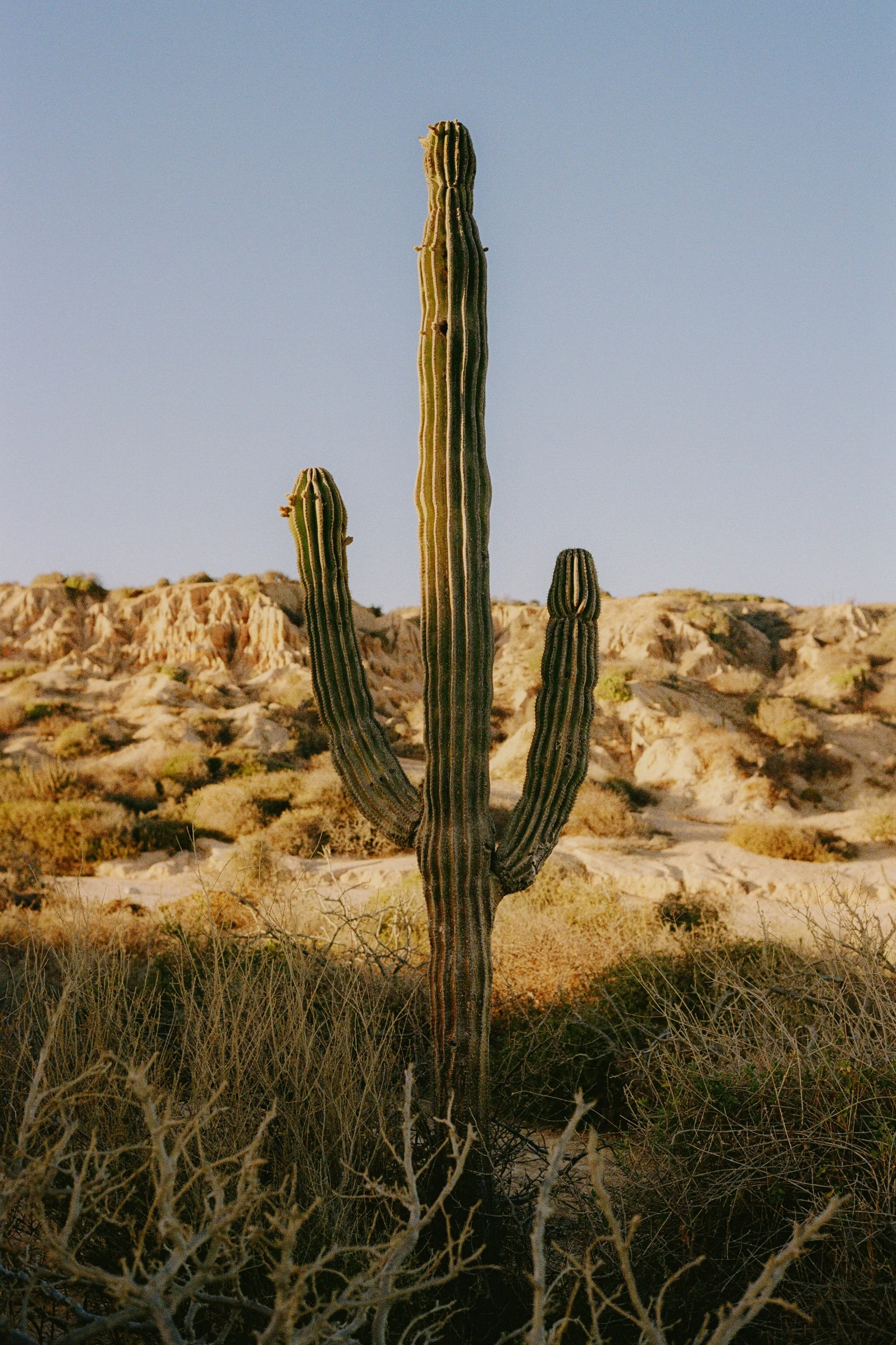 elsewhere 13x19's-17.jpg