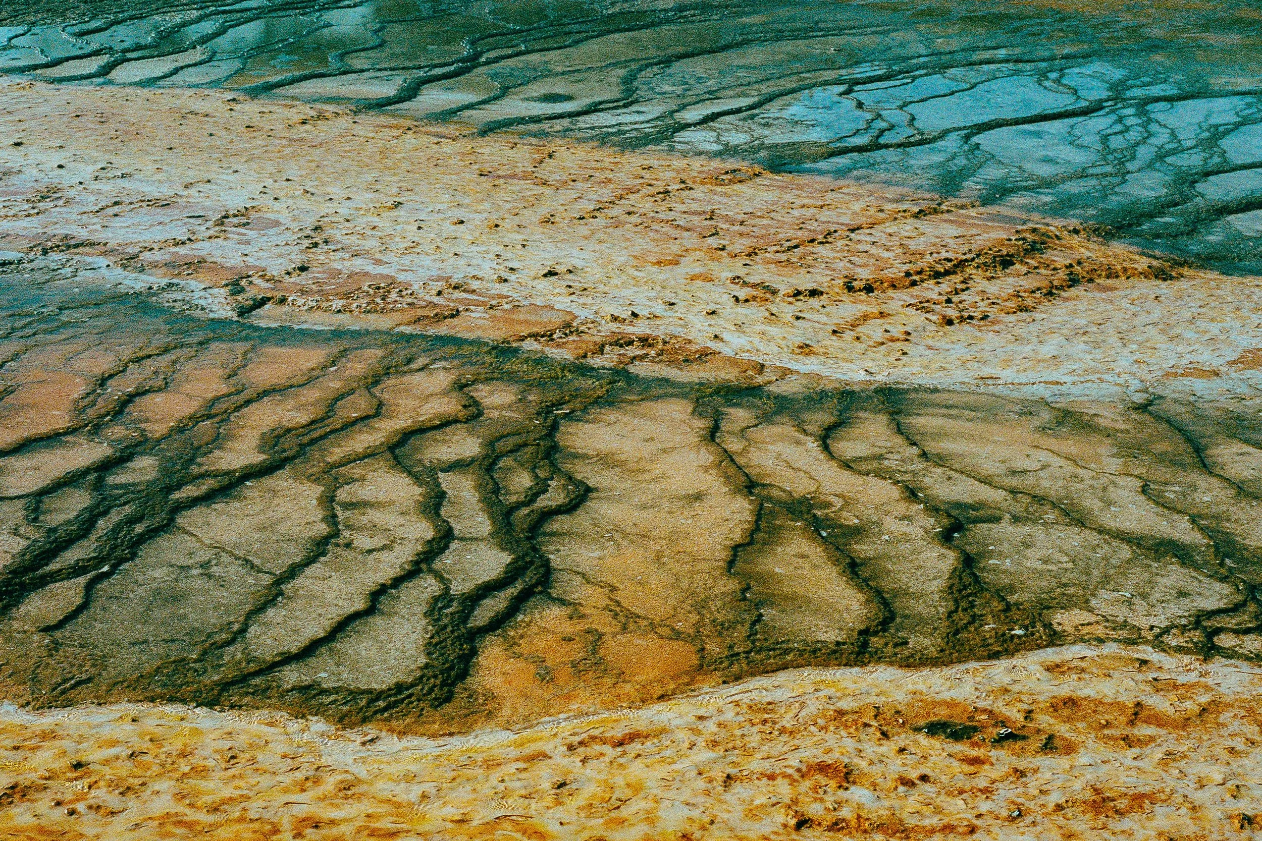 elsewhere 4x6-22.jpg