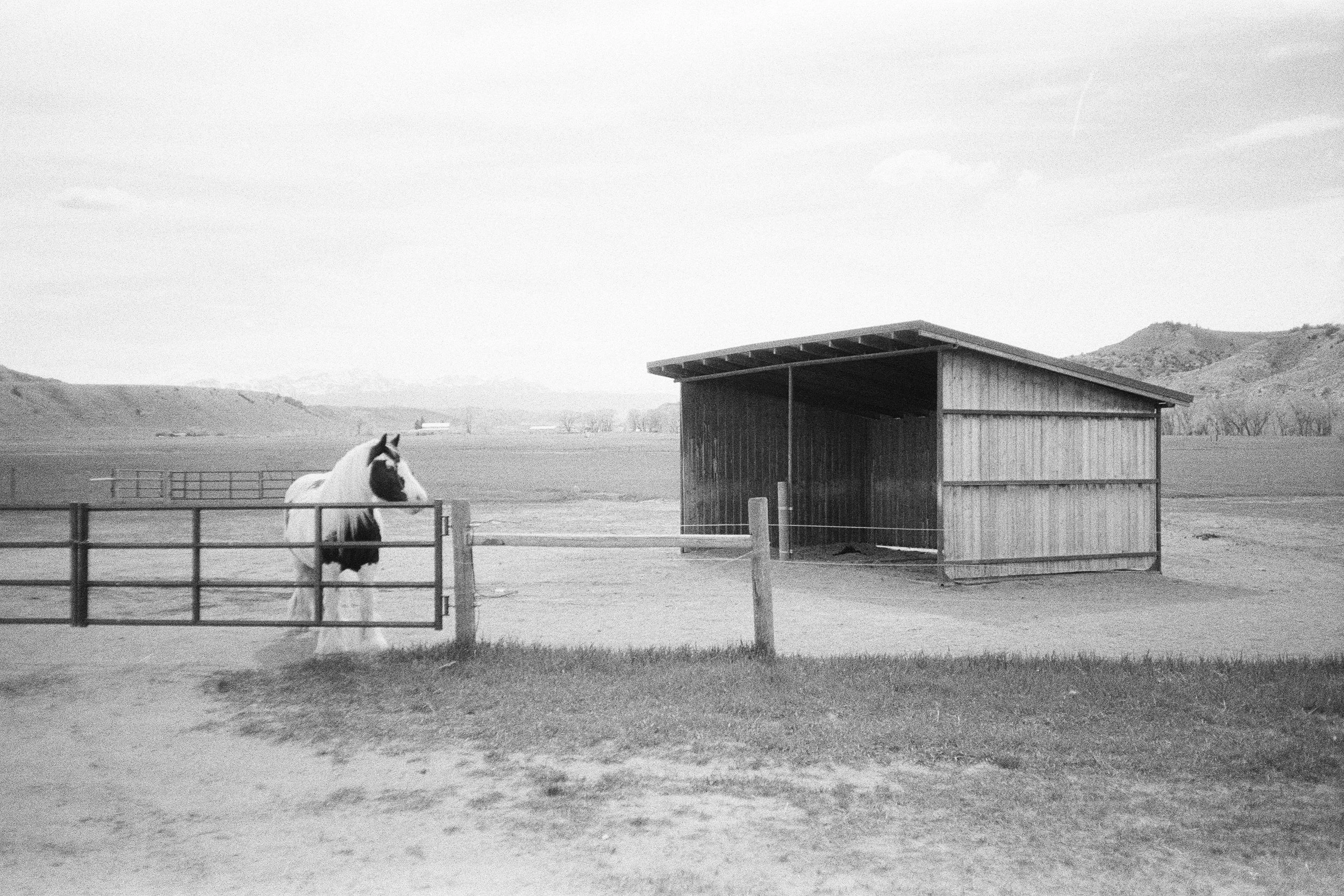 elsewhere 4x6-58.jpg