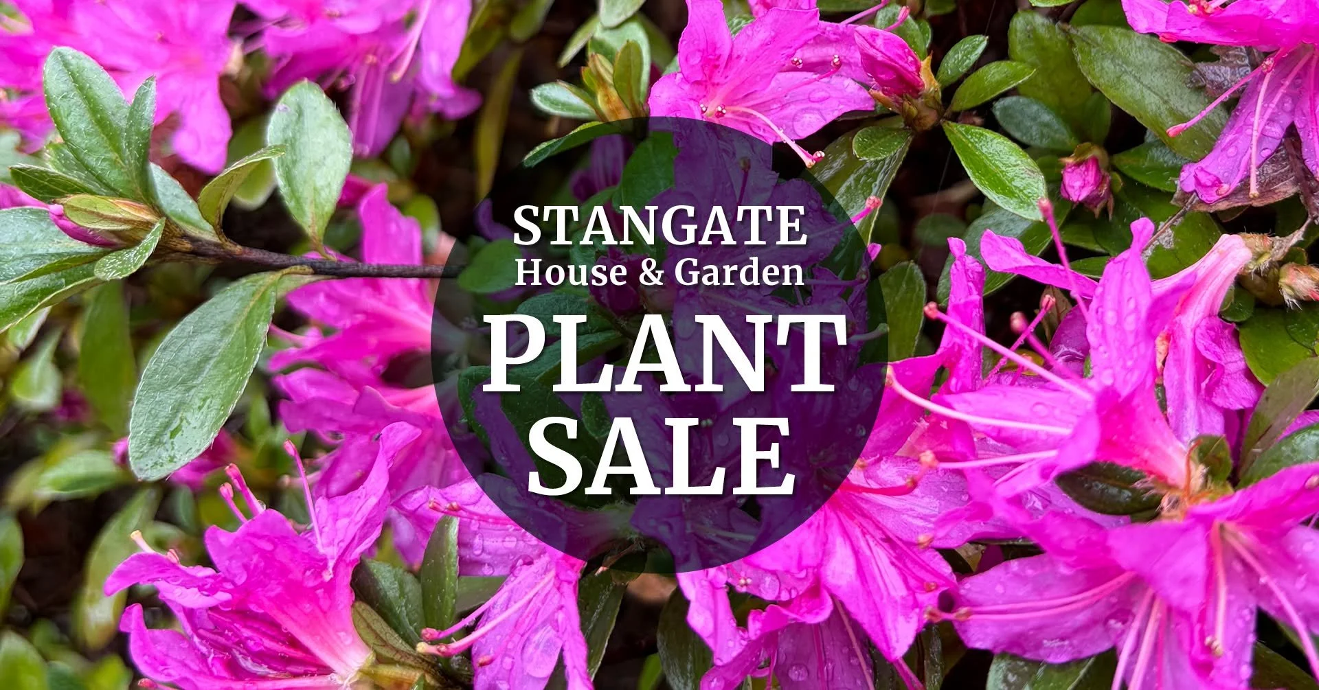 Plant Sale