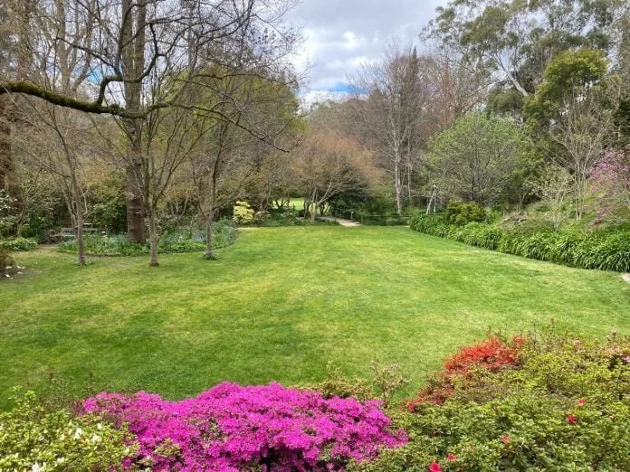 Camellia Society Open Day