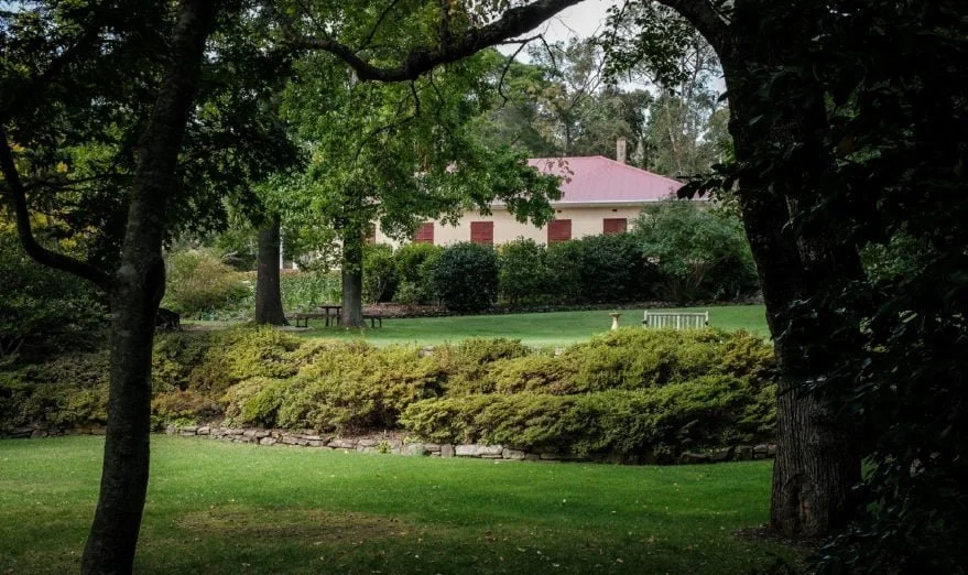 Camellia Society Open Day