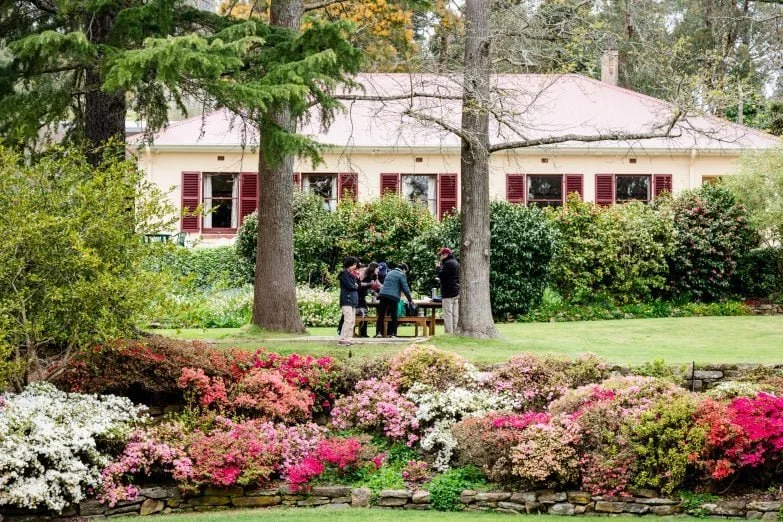 Rhododendron Society Open Day