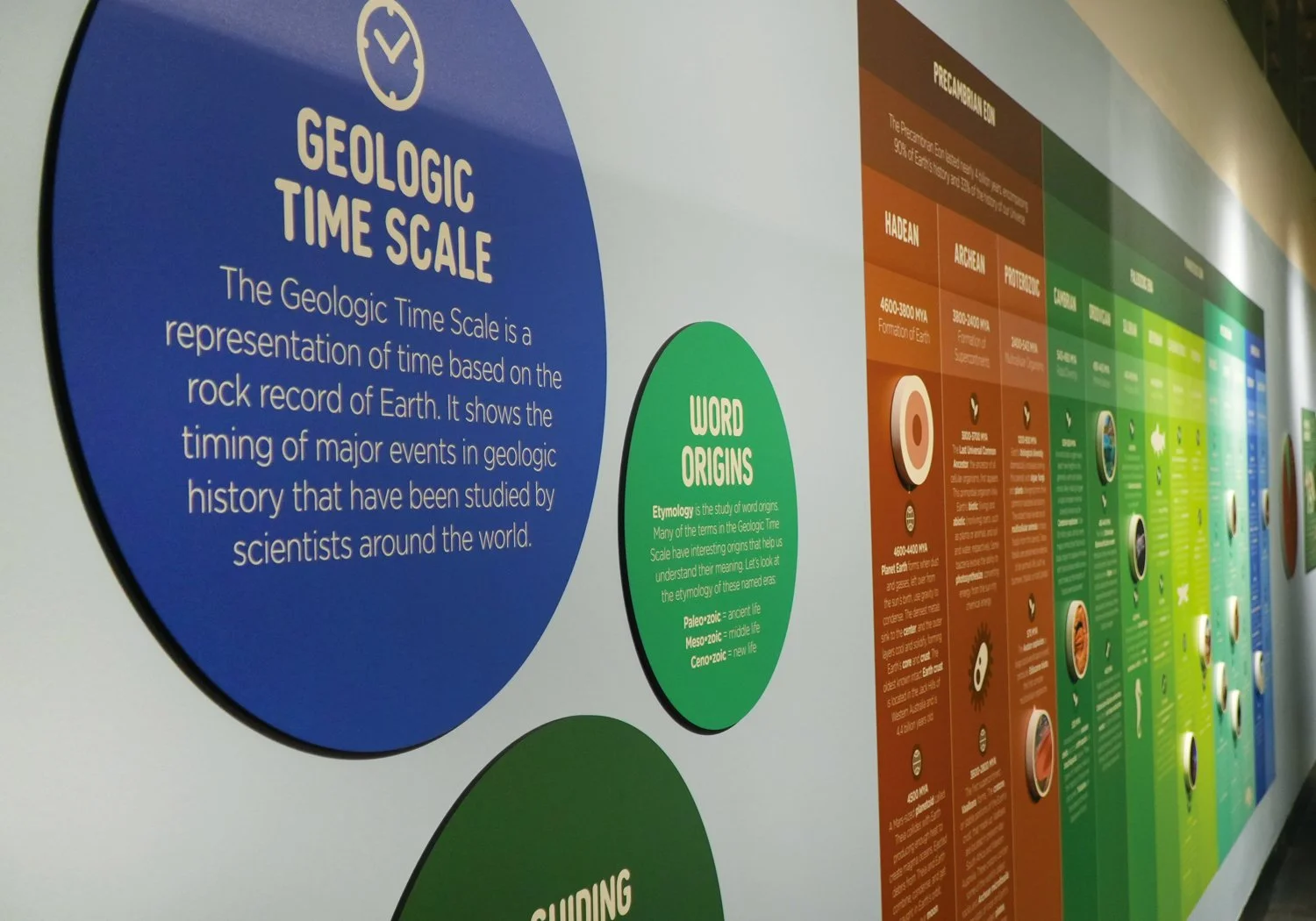 An angled view of the Geologic Time Scale exhibit wall, featuring large circular panels with introductory text and word origins on the left, and a color-coded timeline stretching across the right wall from the Precambrian Eon through the Paleozoic Er