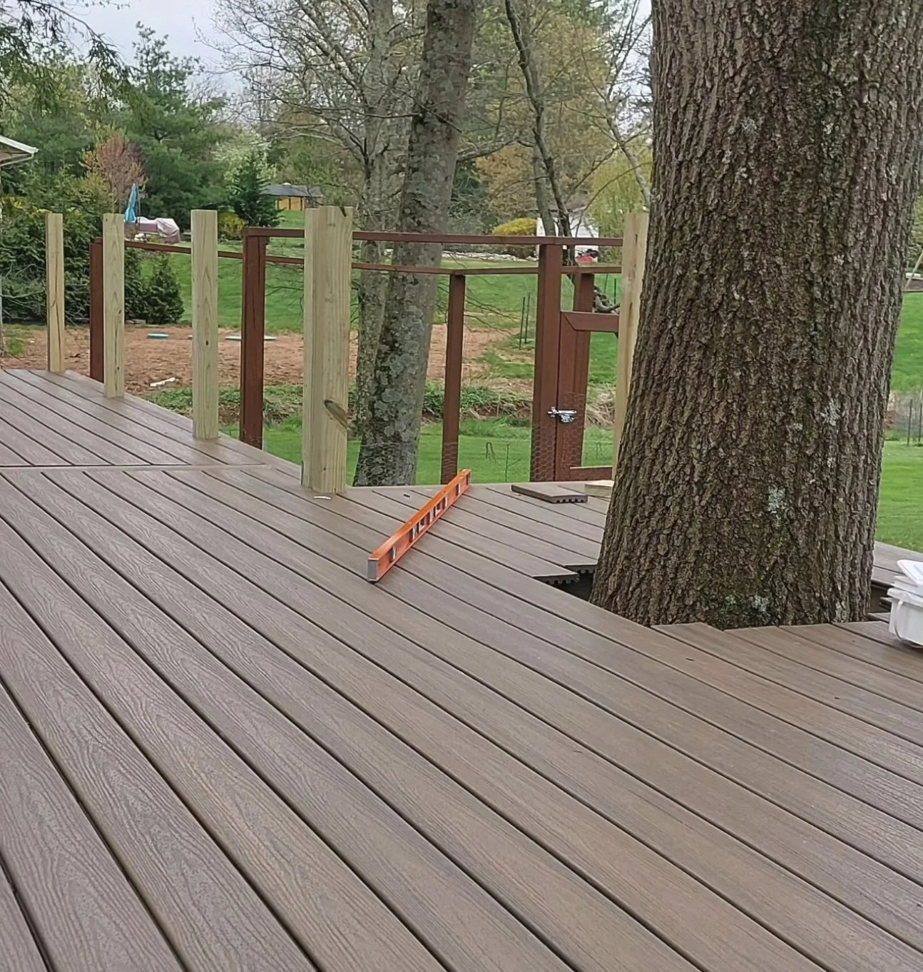 deck built around a tree 