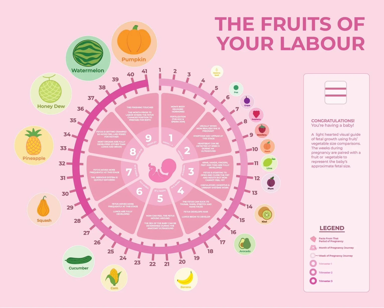A pink infographic called the Fruits of Your Labour.