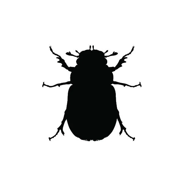 A drawing of a black insect.
