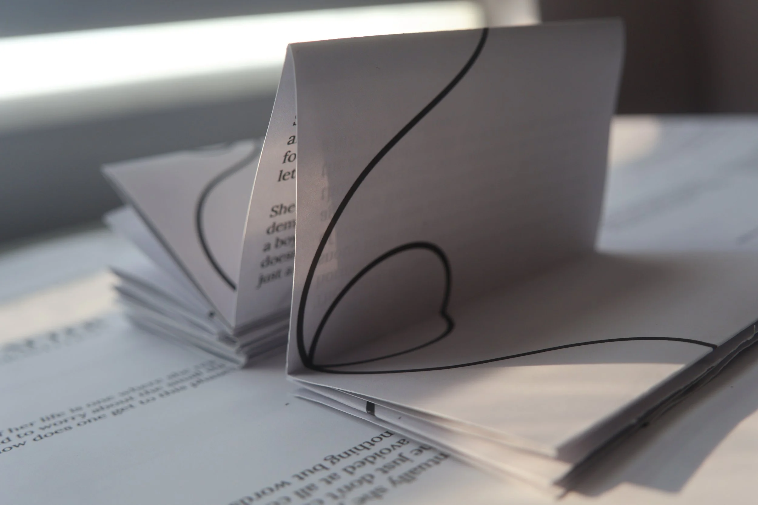 Folded zine showcase the art on the back of the zine