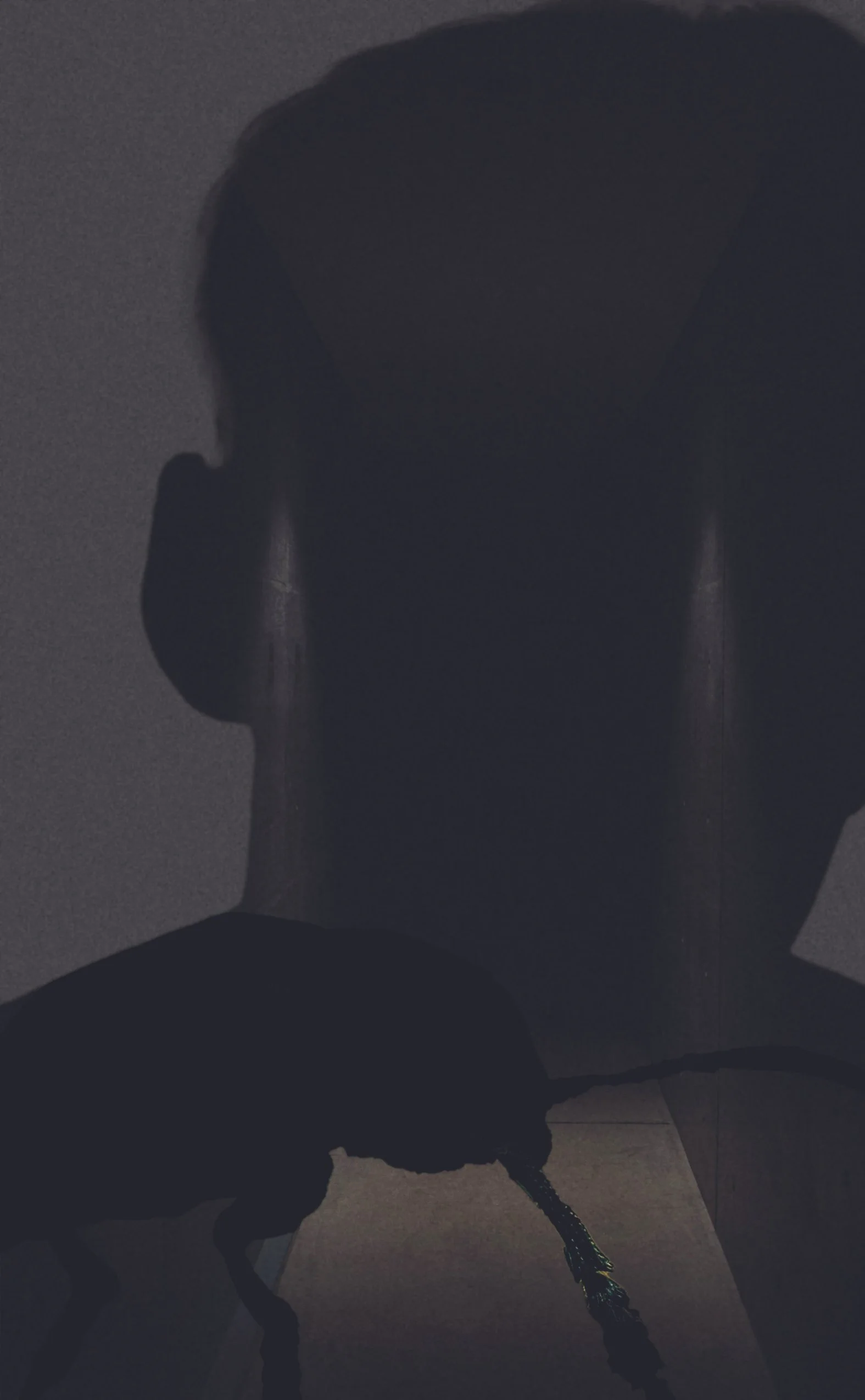 An image of the cover design with a figure of a boy with superimposed images of a beetle image and a dark hallway.