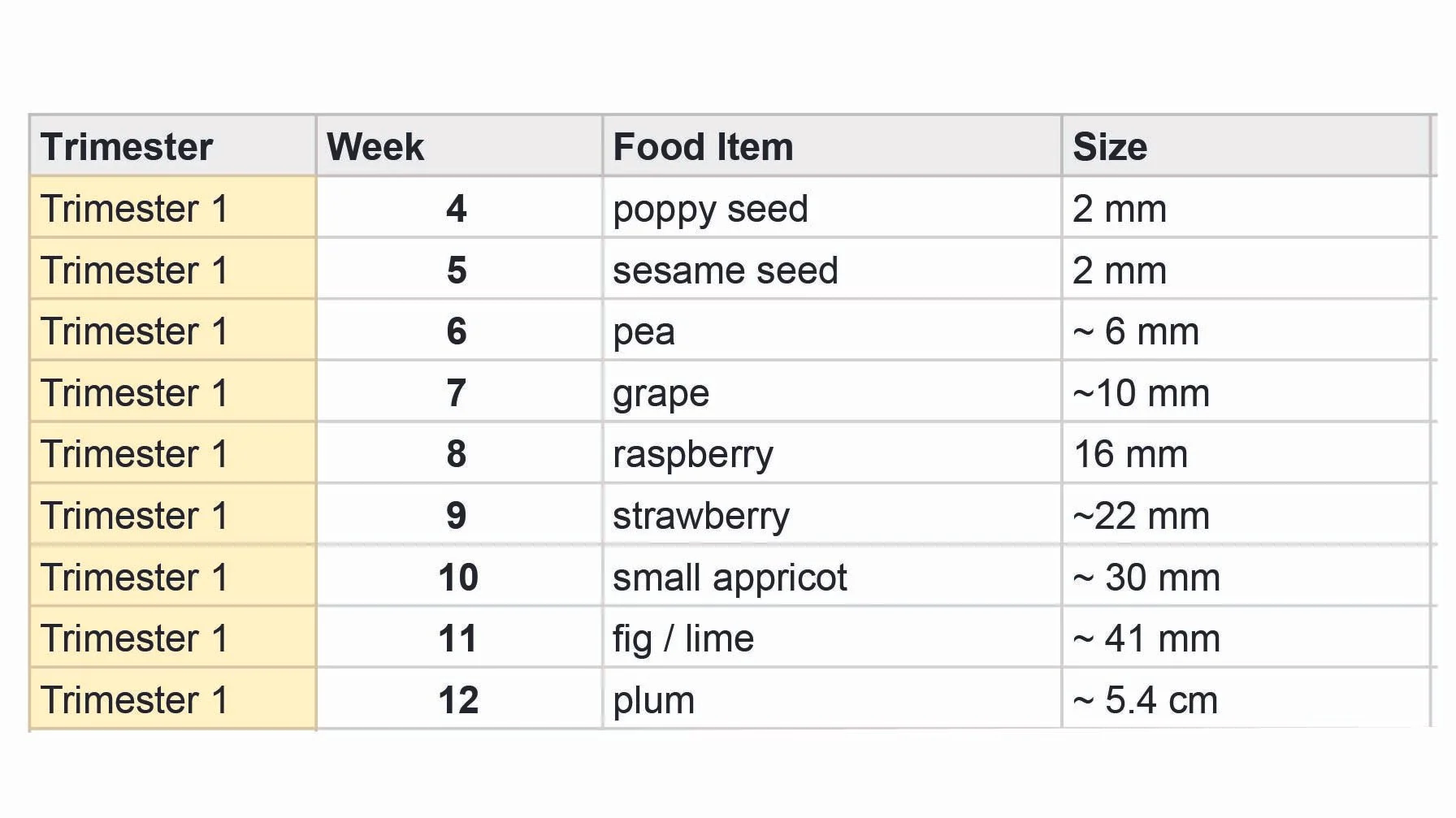 A Google Docs table showcasing the trimester number, weeks, food items and the measurements in mm.