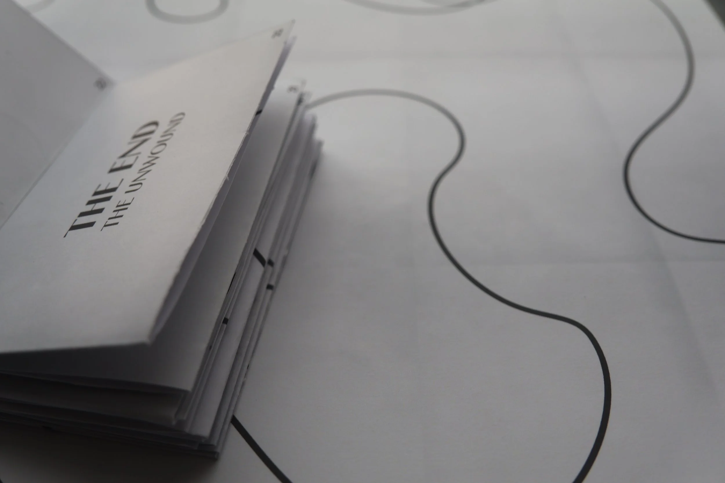 Folded zine that shows the page where it says the end on top of the poster