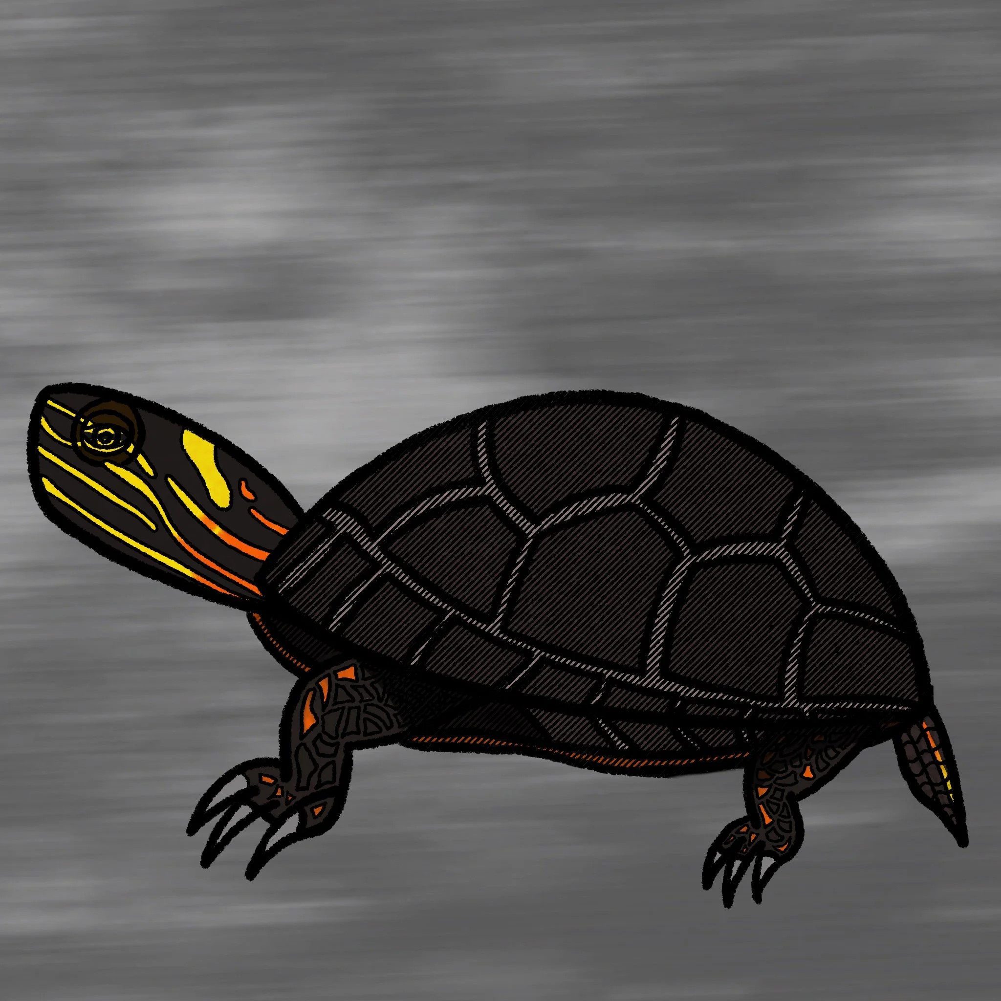 Digital drawing of a colored turtle against a blurry dark backgound