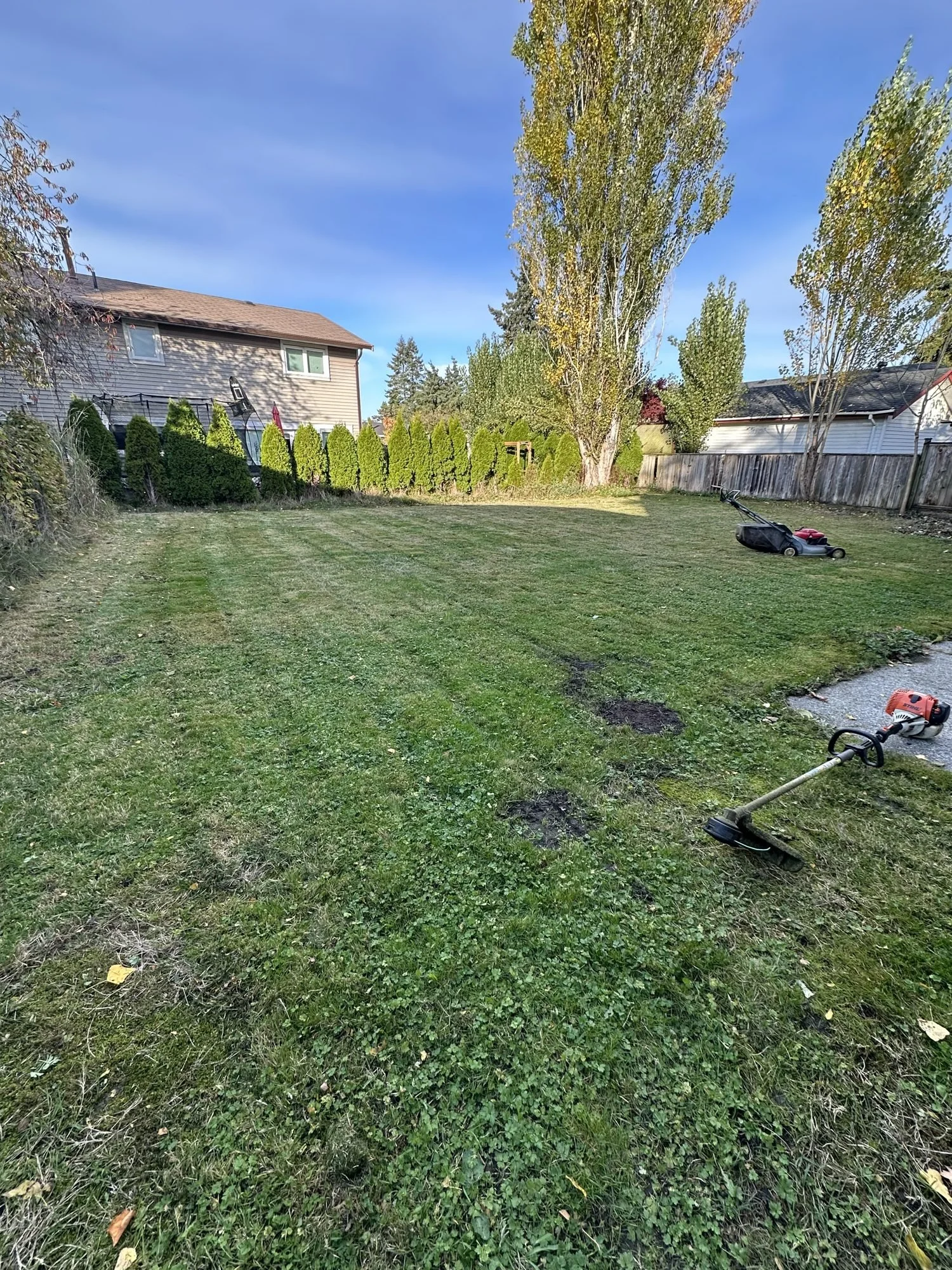 brb-09-lawn-mowing.jpg