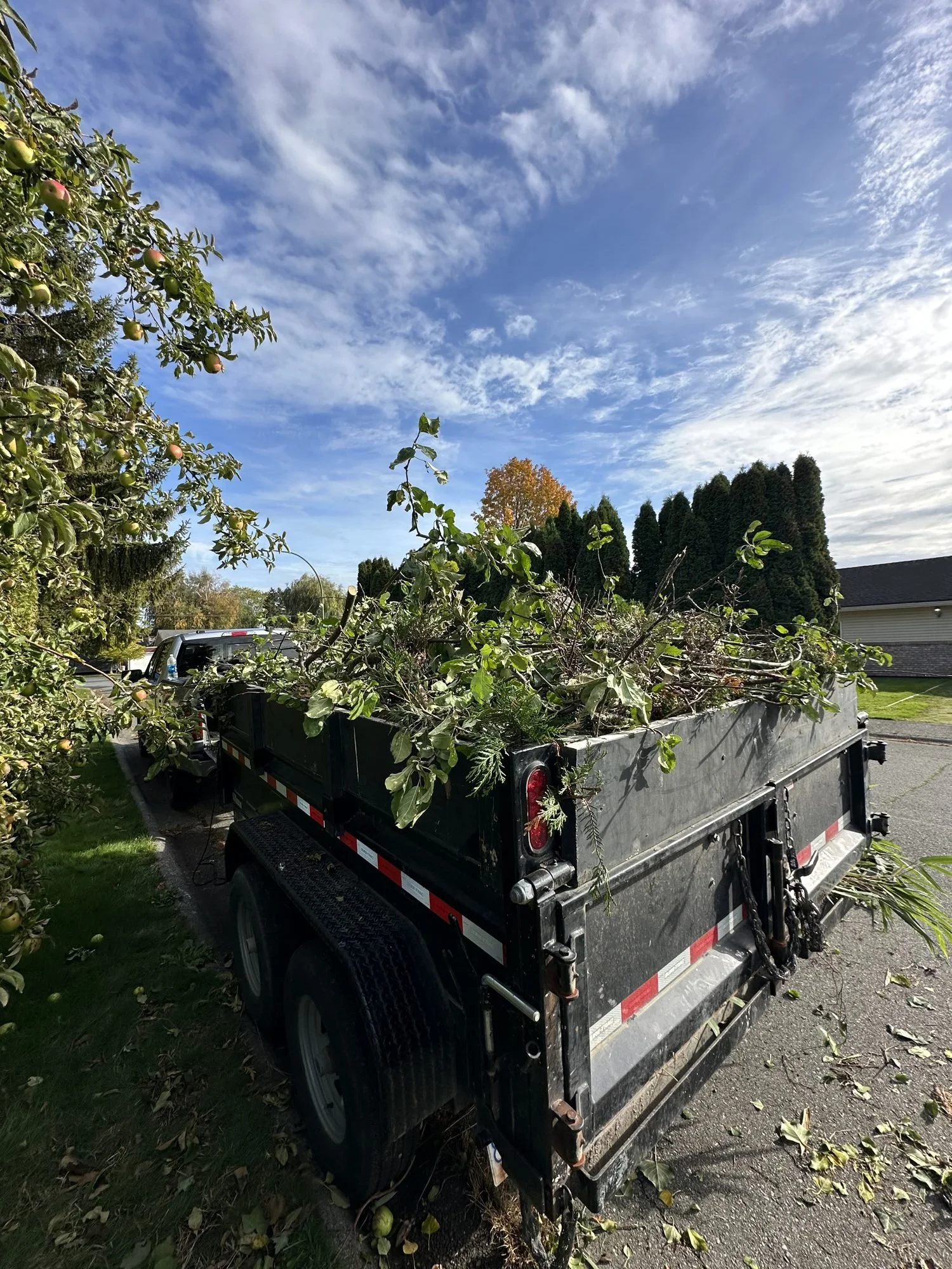 brb-08-green-waste-removal.jpg
