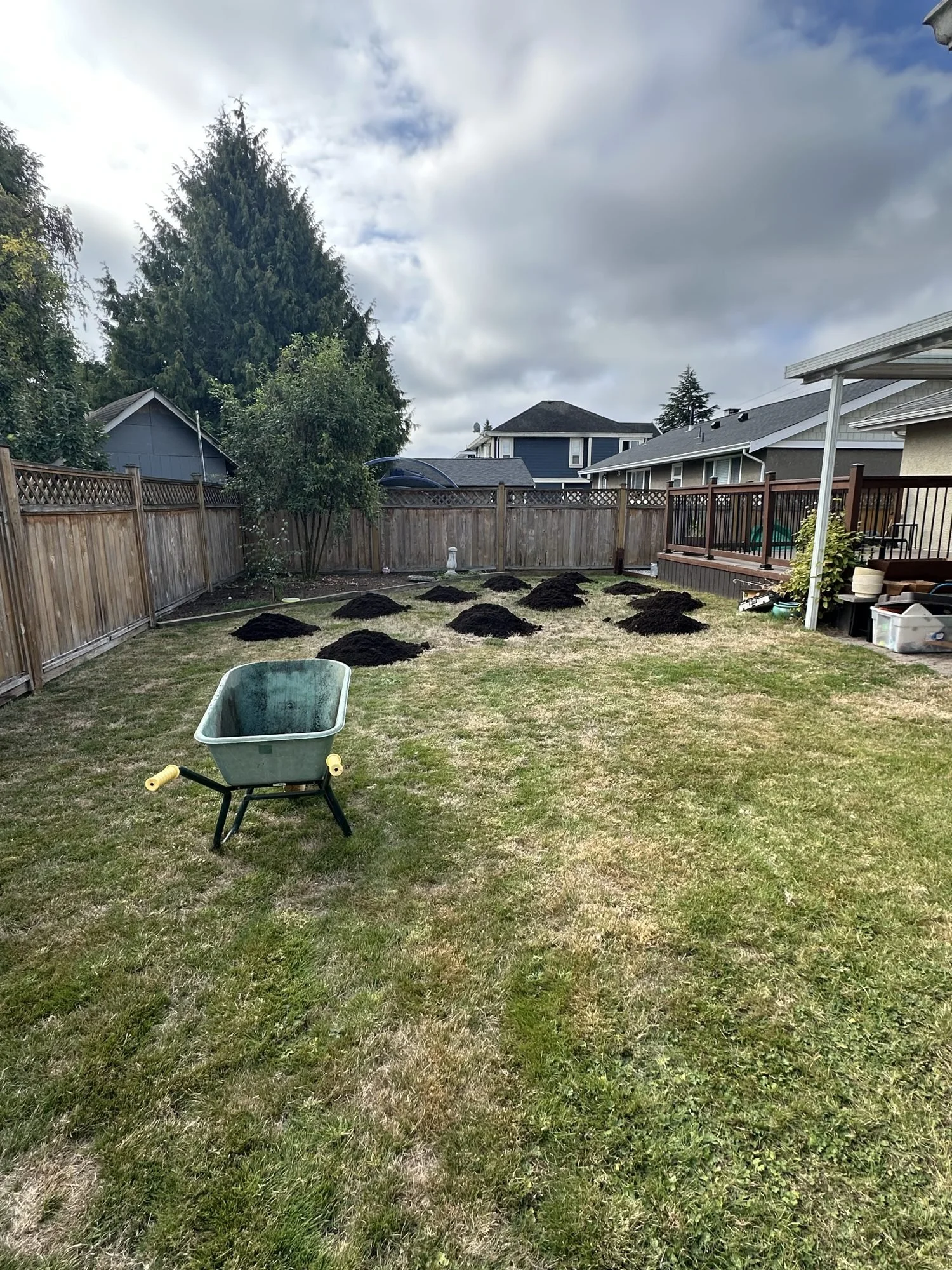 brb-05-yard-soil-prep.jpg