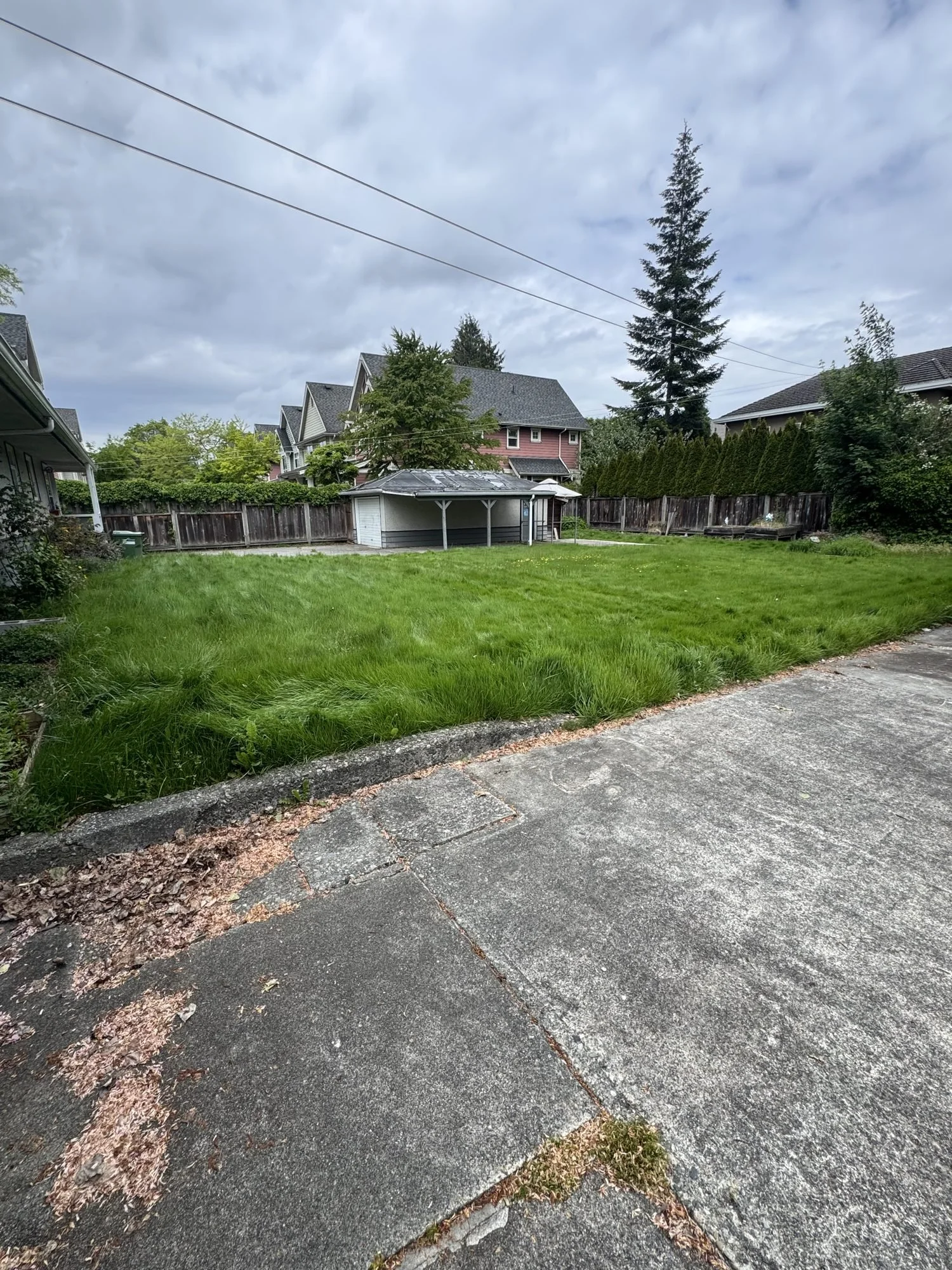 brb-21-lawn-cutting-backyard.jpg