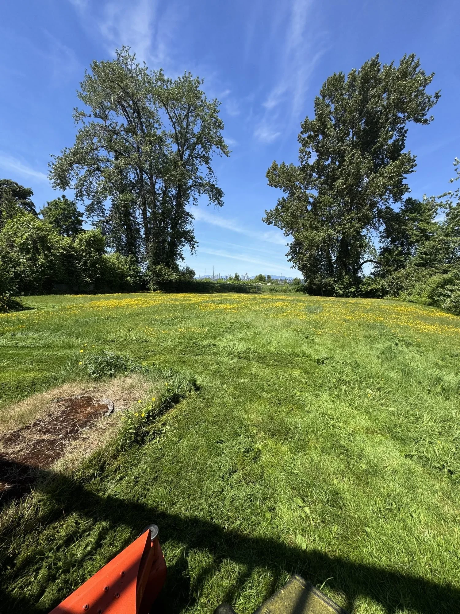 brb-28-acreage-mowing.jpg
