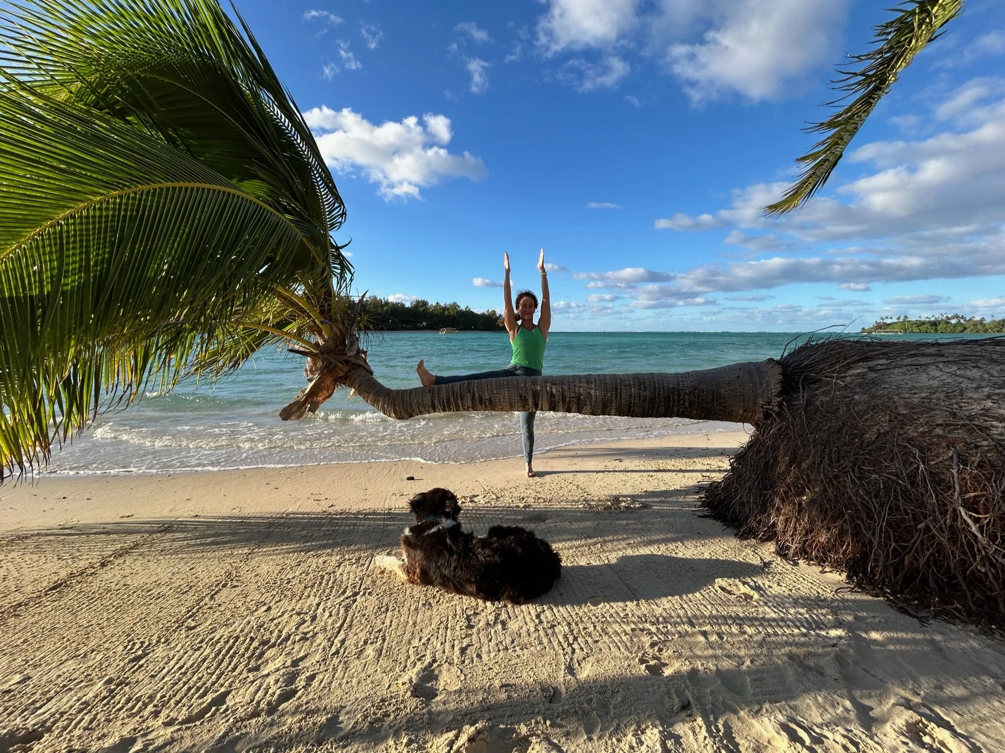 A person practicing yoga in tree pose on a sandy beach, with large palm trees and fishing boats on the water in the background under a blue sky with some clouds.
