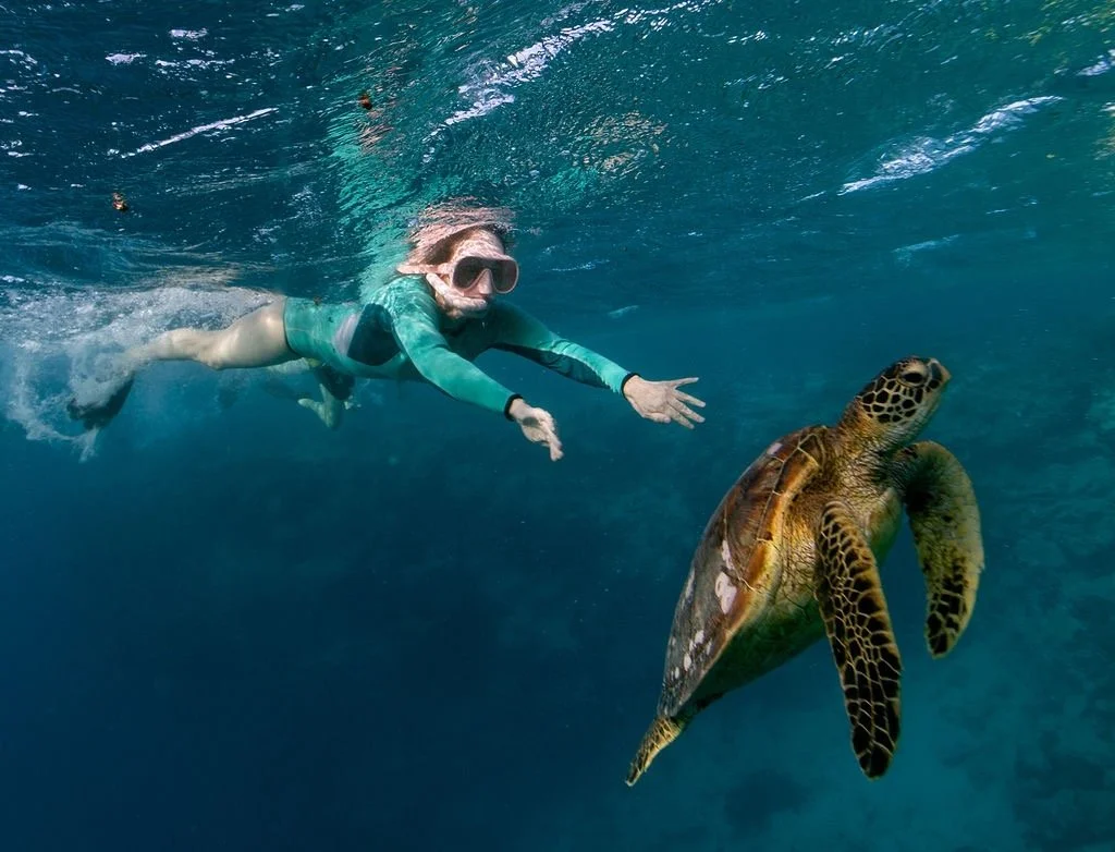 Anandi snorkeling underwater in Rarotonga with a sea turtle.