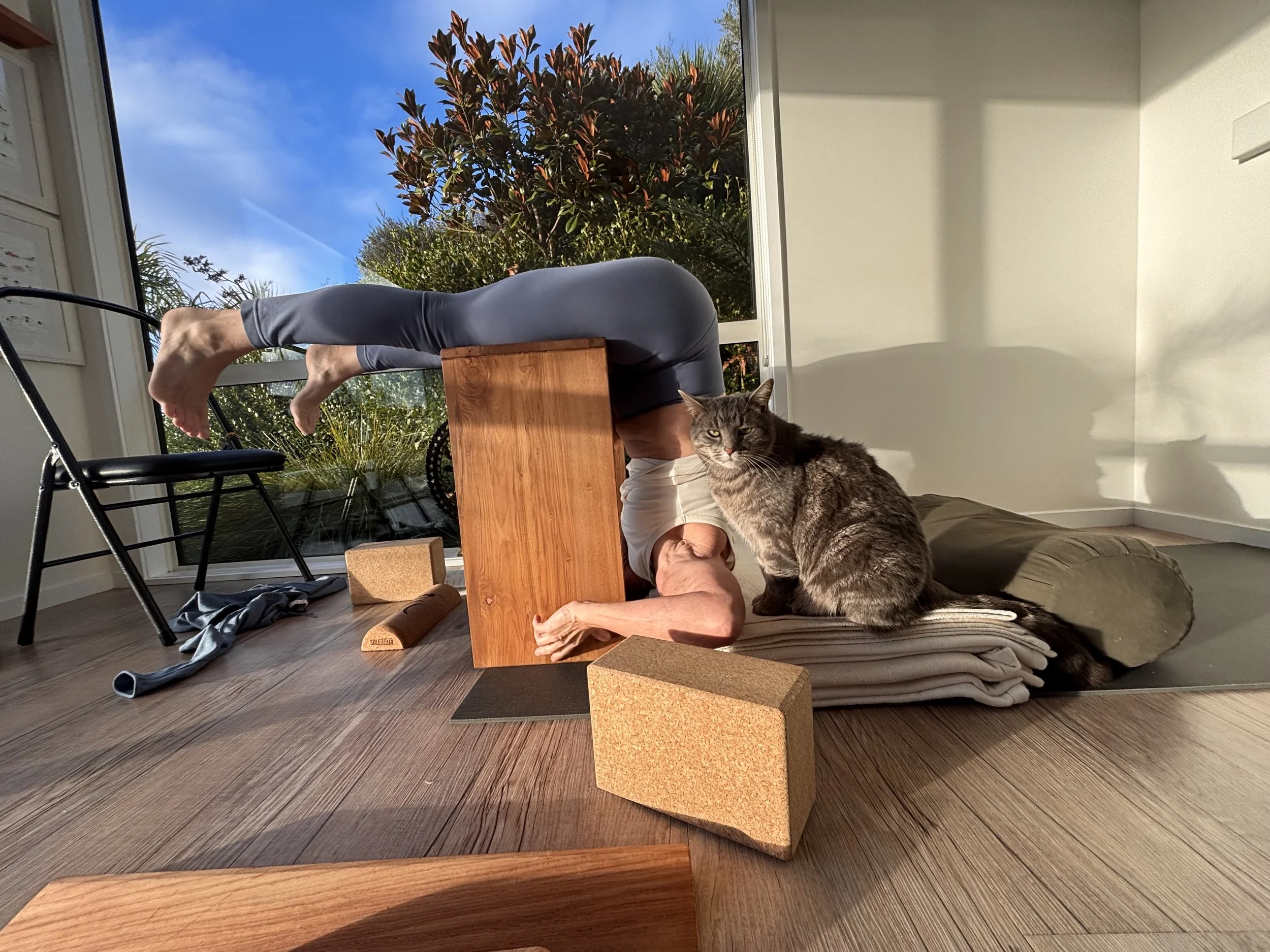 Anandi doing yoga in Cobra pose on a cork yoga block, with Shiva the cat sitting next to her, indoors near large windows with sunlight and greenery outside.