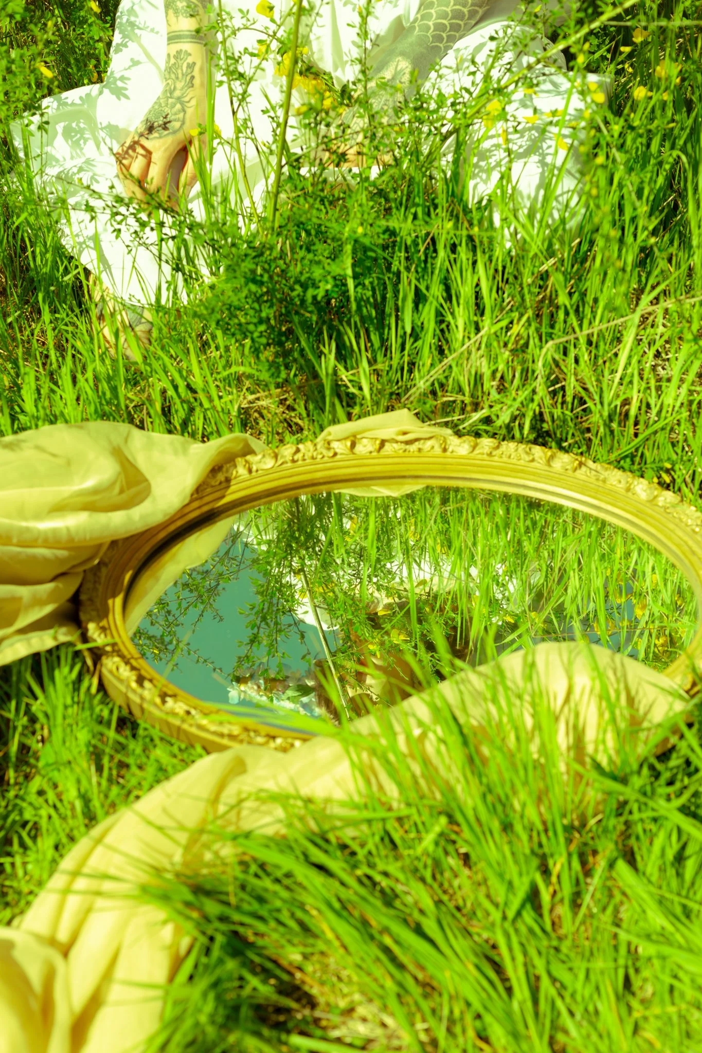 Reflection of blue sky, white clouds, and trees in a small circular mirror resting on green grass surrounded by yellow-green leaves and tall grass.