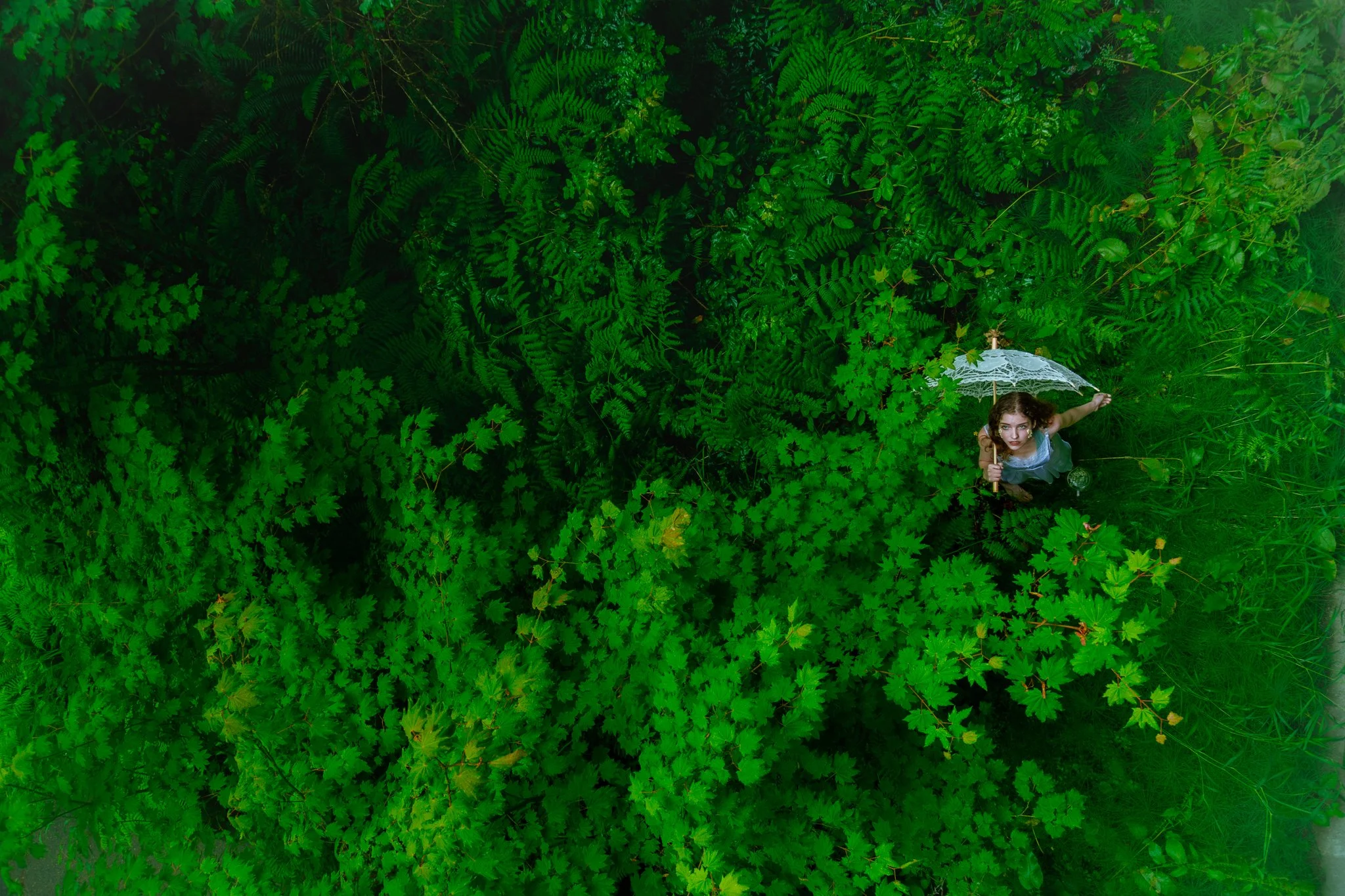 A woman holding a white lace parasol amidst green foliage and fern leaves, seen from above.