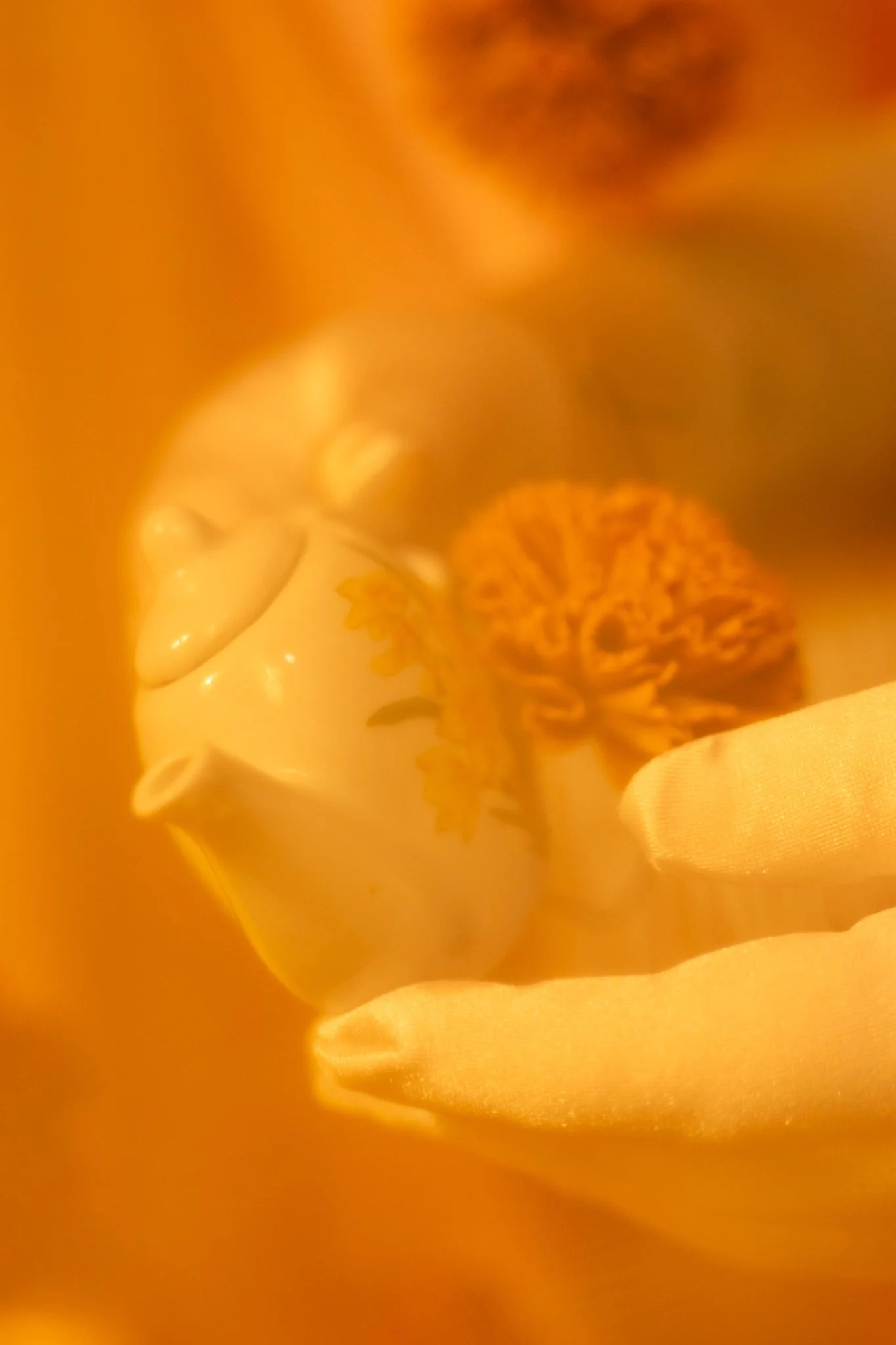 Close-up of a yellow flower with orange details in the center, blurred background.