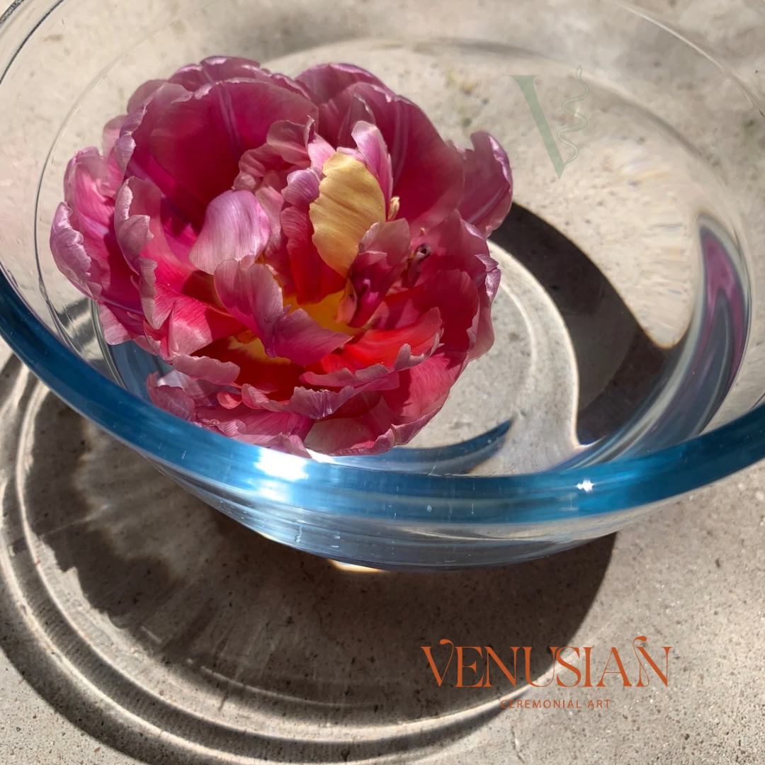 a single pink tulip in a bowl of spring water outside on a sunny day.