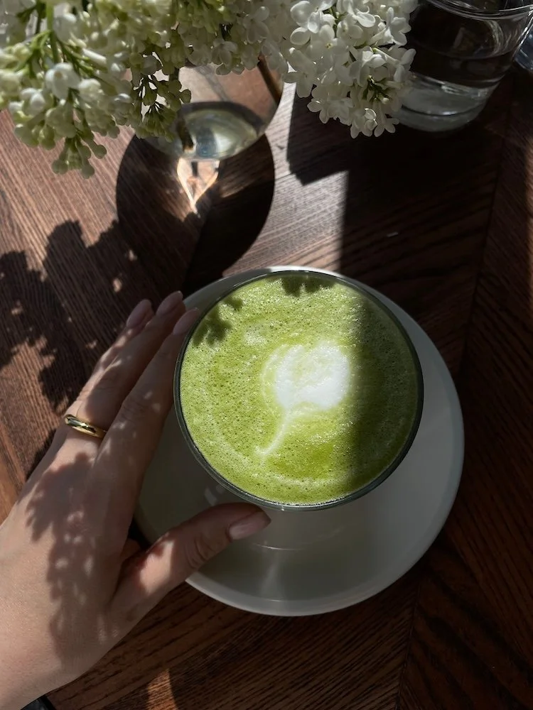 Hands holding a warm herbal drink — naturopathic wellness and gut health support