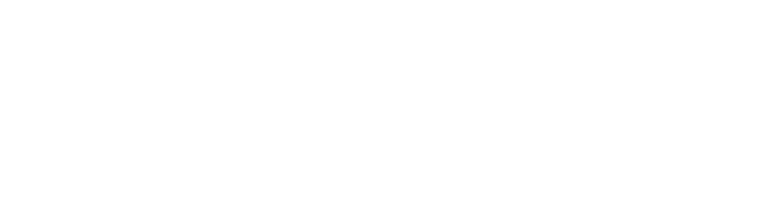 White line - header decoration.