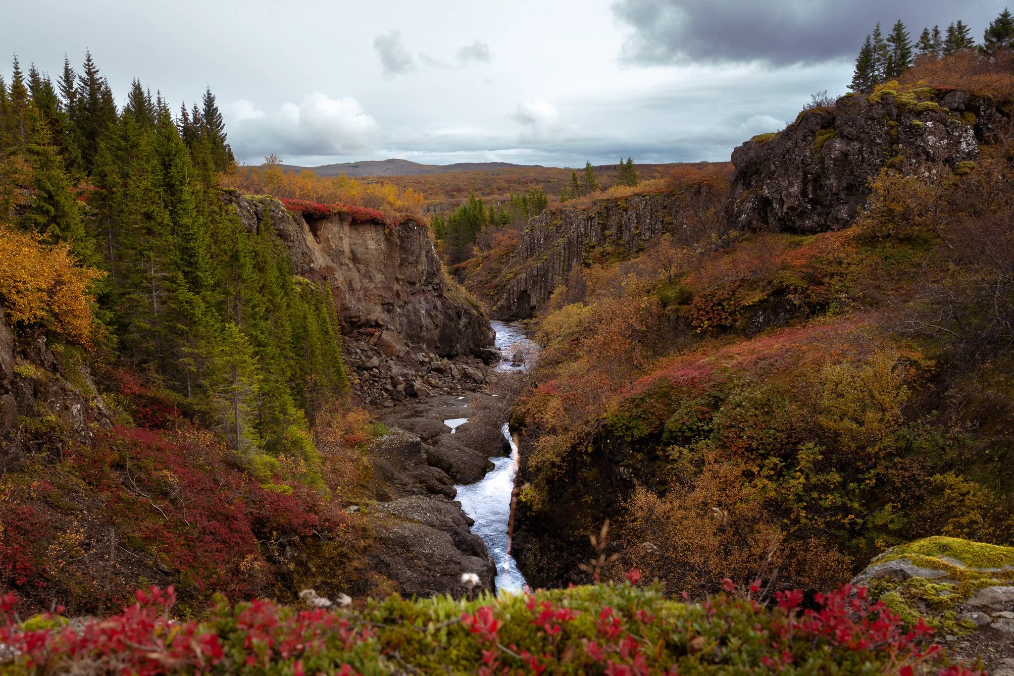 L1010415-3.jpg