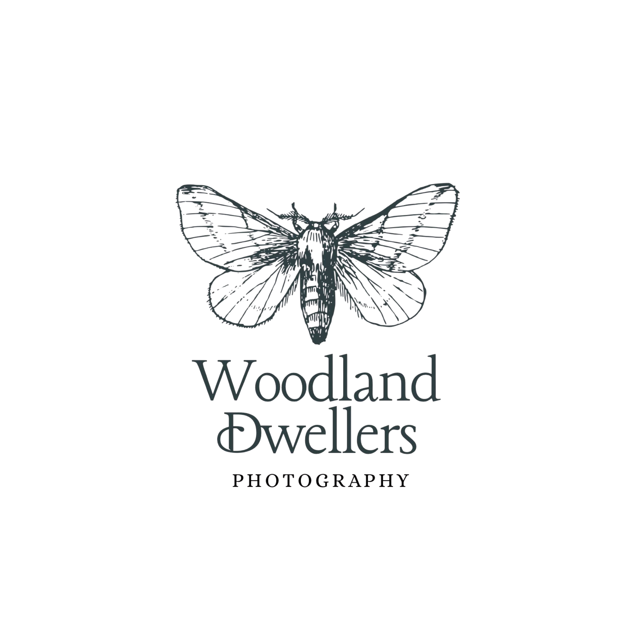 A logo with a black background showing a butterfly with intricate design details and the text 'Woodland Flowers Photography' below it.