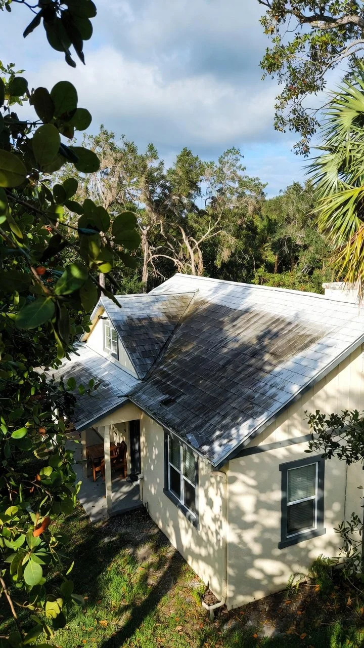 Why Fort Myers Homes Are Especially Prone to Black Algae